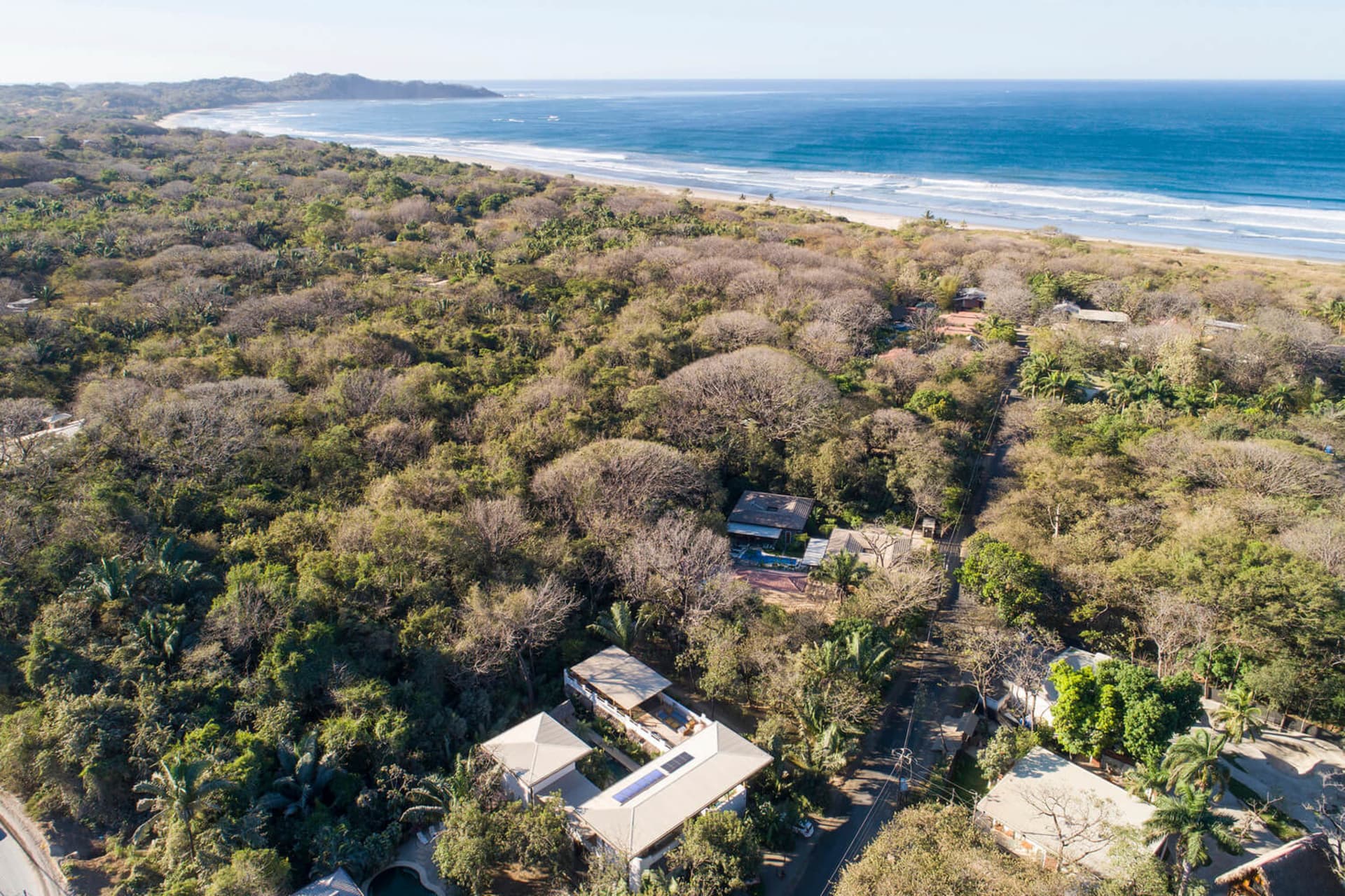 Aerial view of a residential area surrounded by a lush green forest near the ocean.