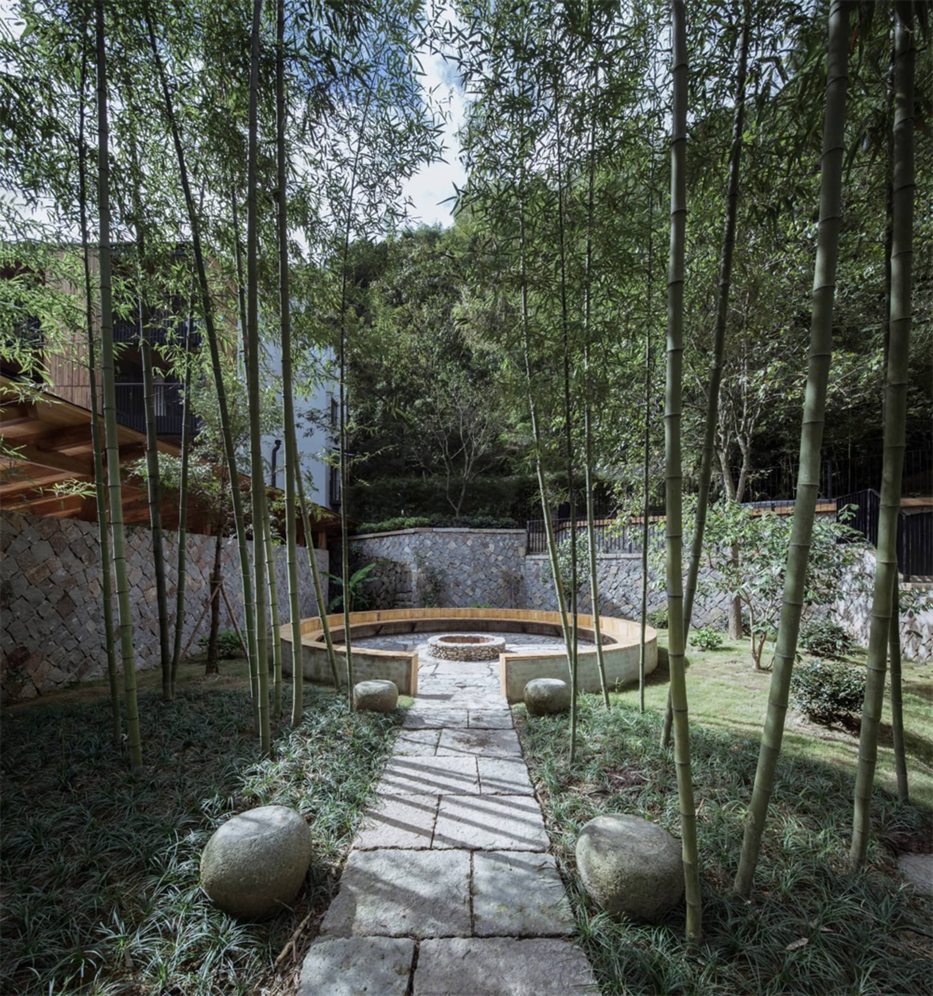 寧靜的竹園庭院,設有石板步道與休憩區。