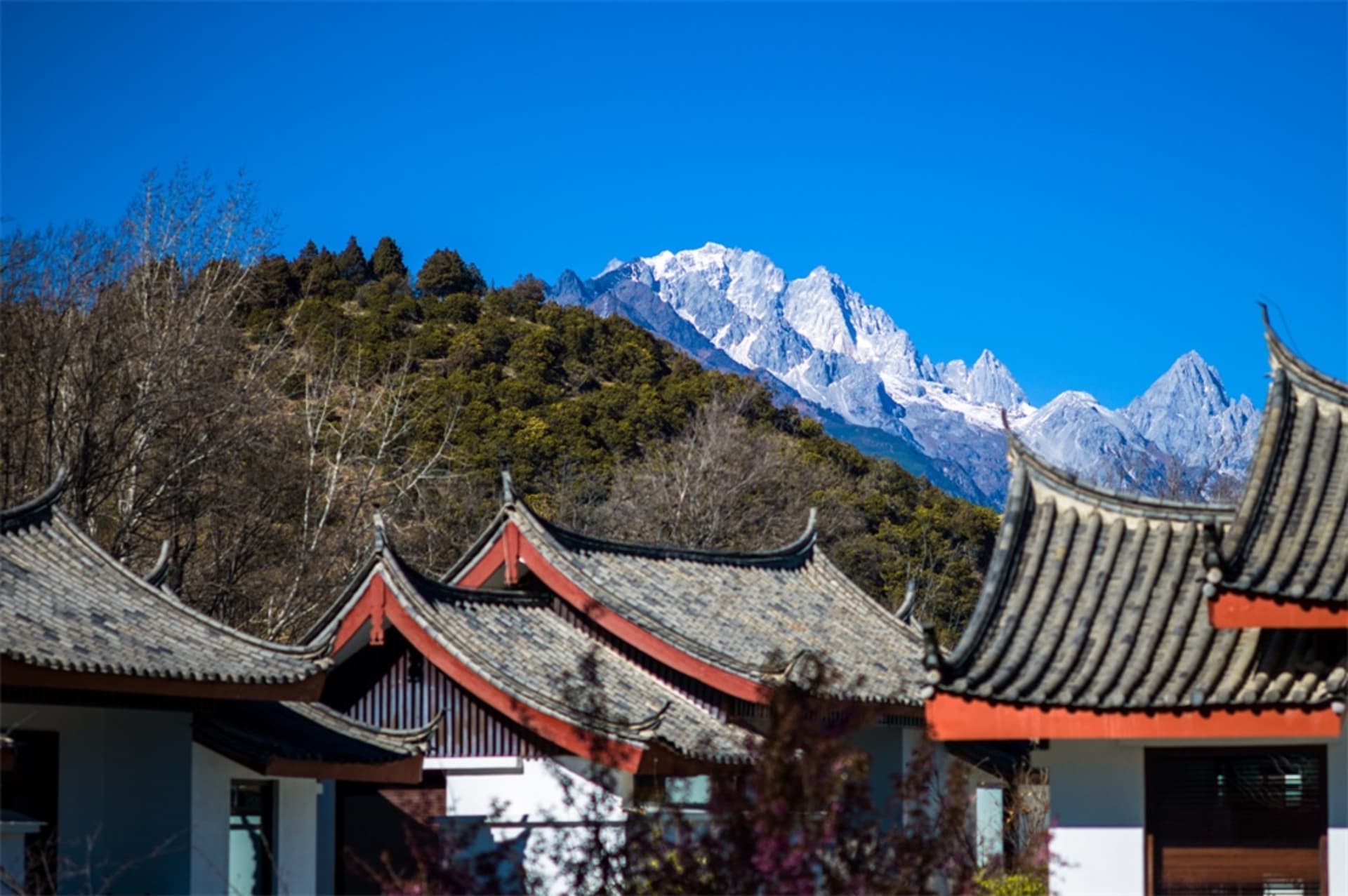 傳統中式屋頂俯瞰白雪覆蓋的山巒，映襯在清澈藍天下。
