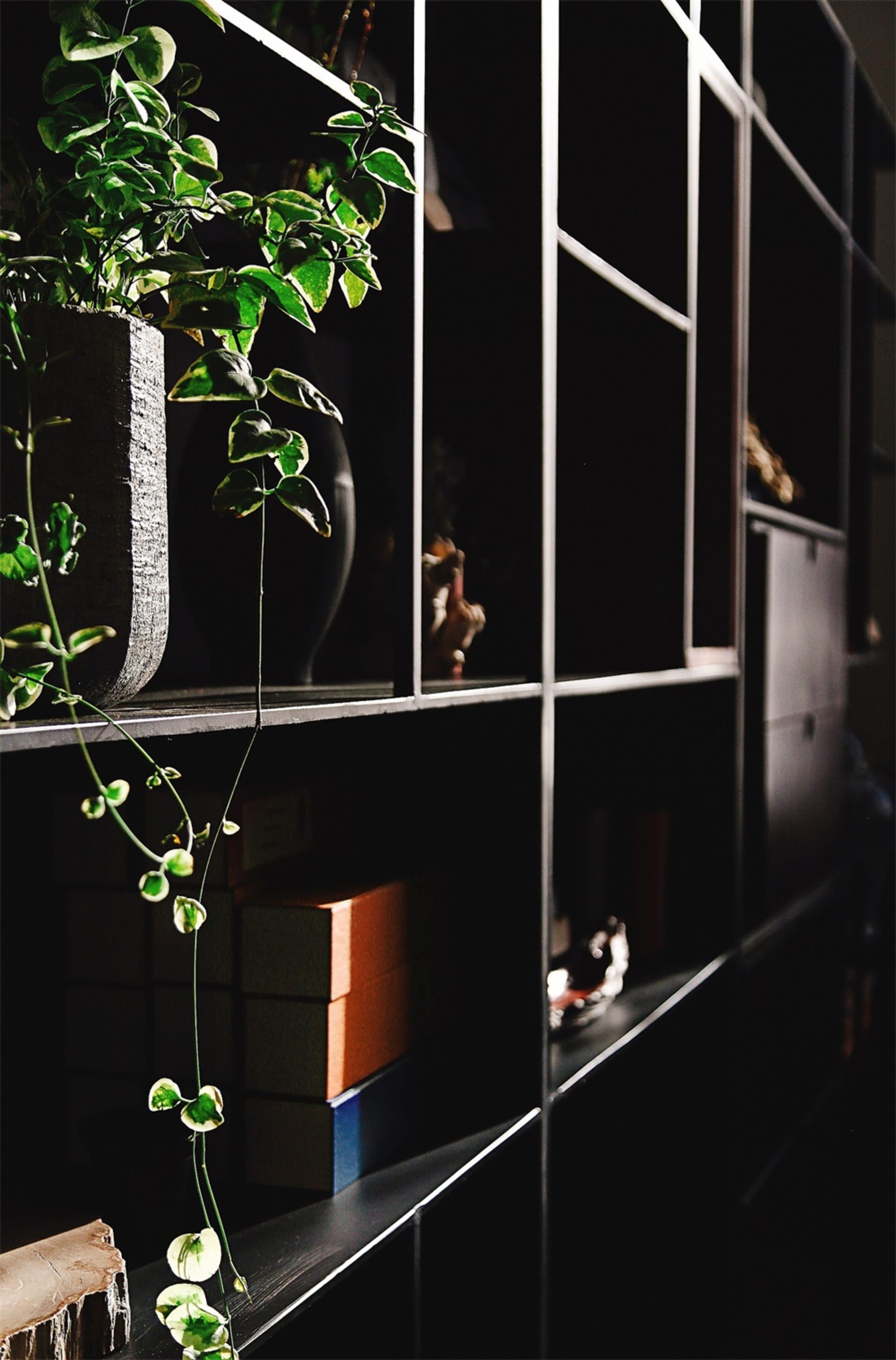 Industrial-style metal shelves with a concrete planter and green plant