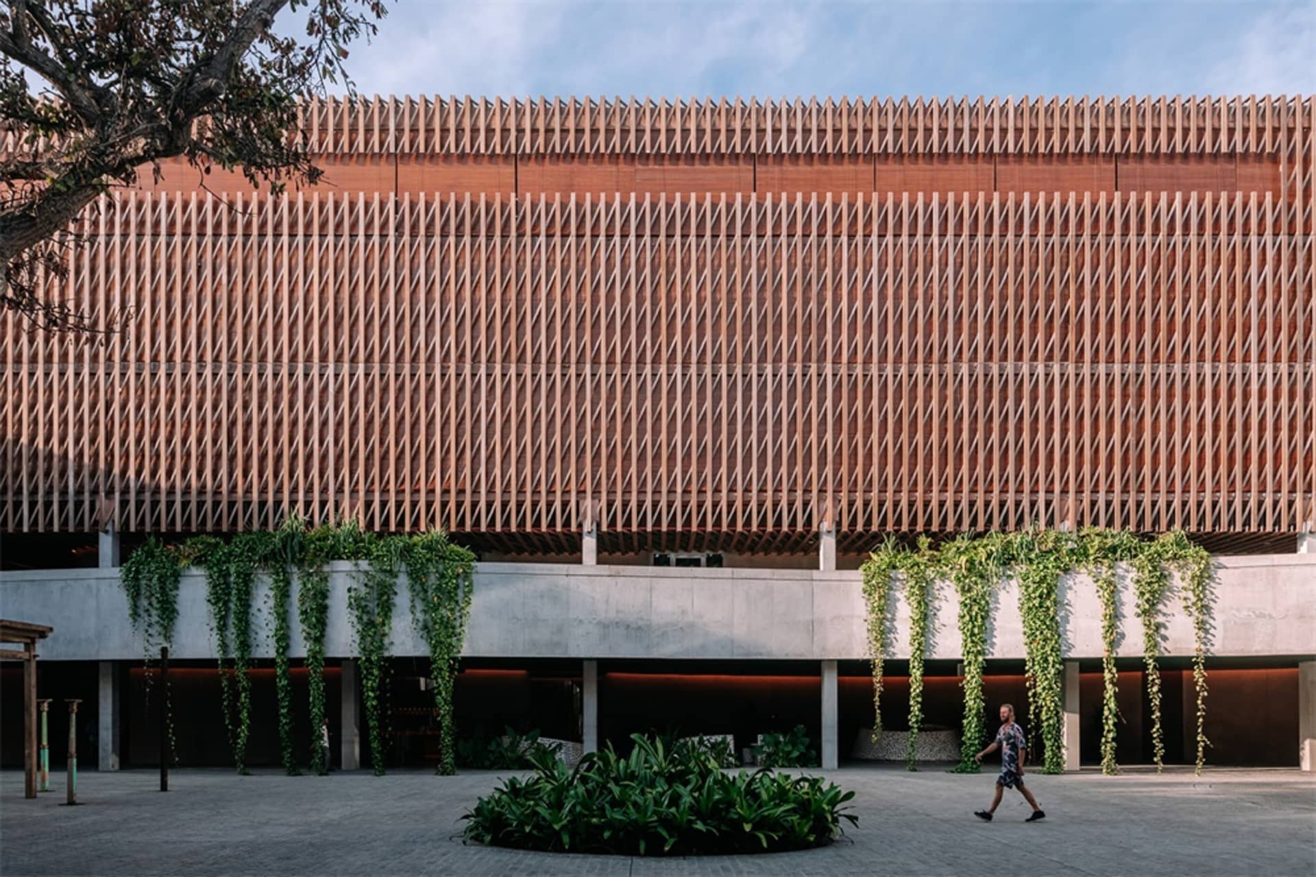 Contemporary building facade with wooden cladding and green ivy