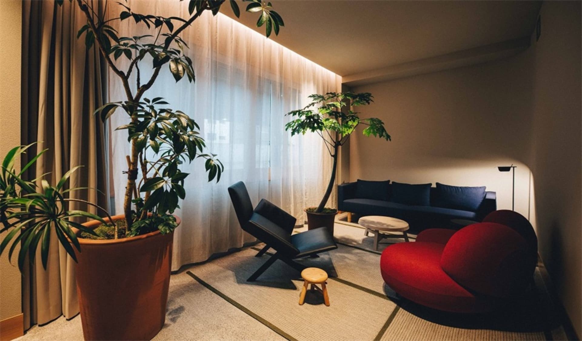 A minimalist living room featuring wooden furniture and plants.