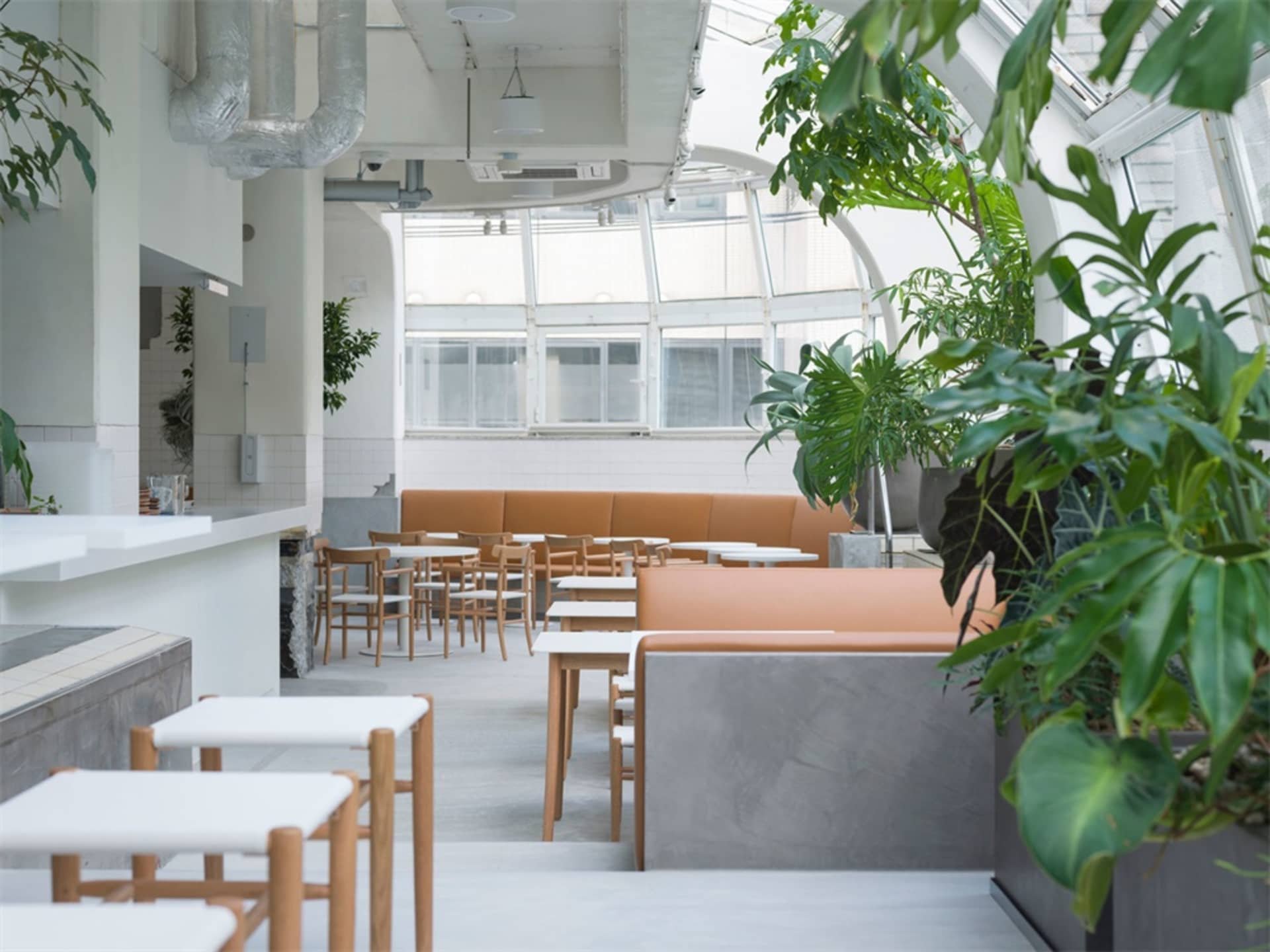 Modern cafe interior featuring concrete, wooden furniture, and green plants.