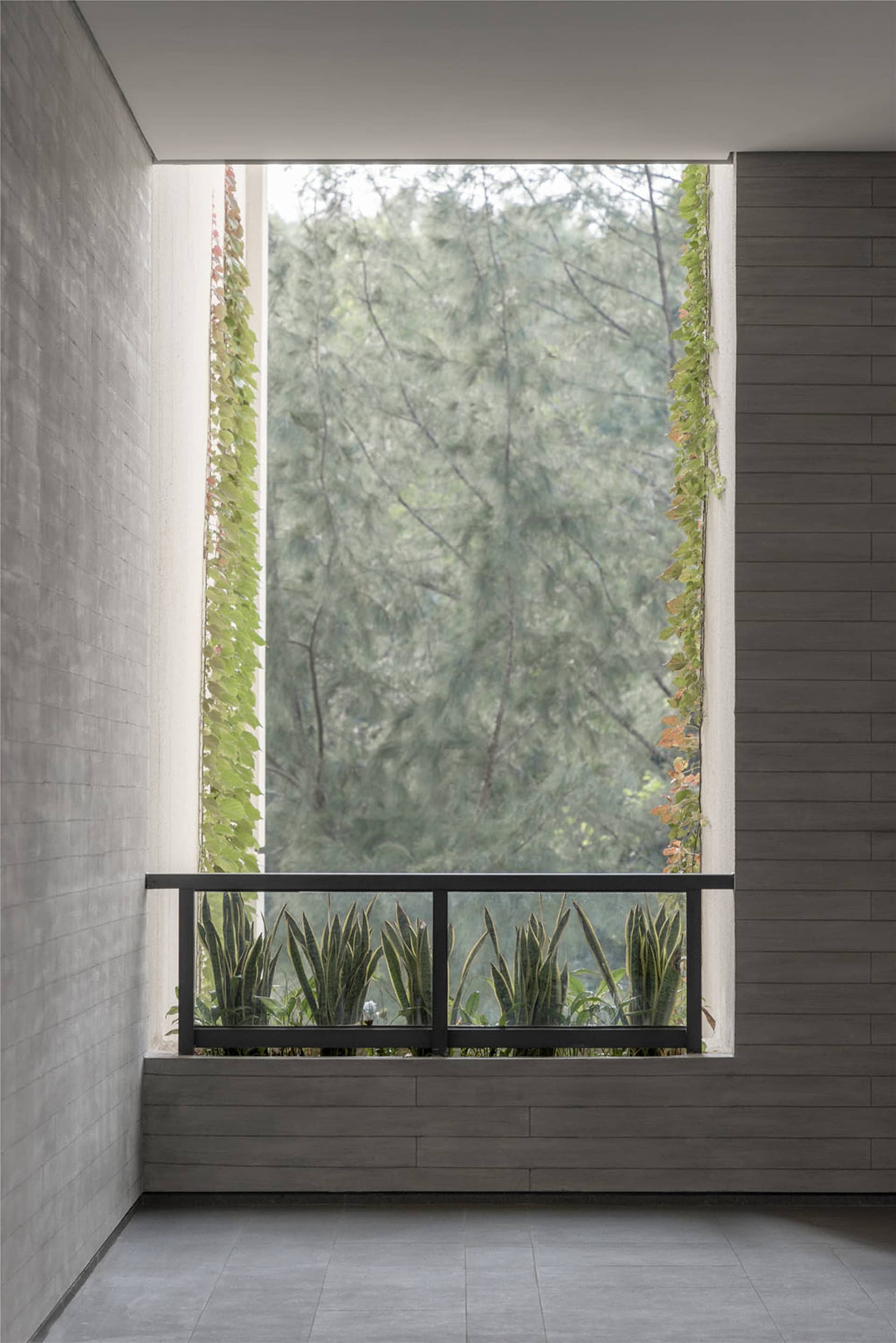 A modern interior space featuring concrete walls and large windows surrounded by greenery.