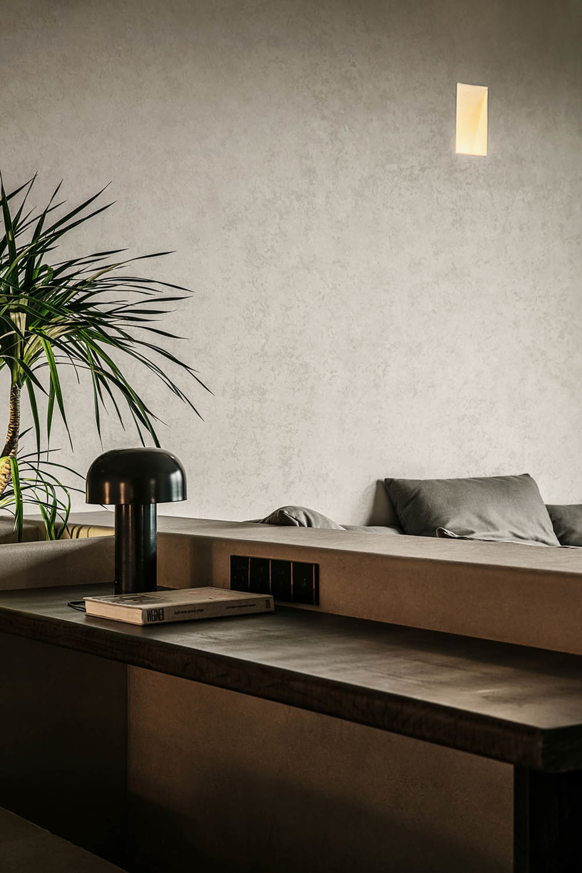 Minimalist living room with concrete furniture and a potted plant.