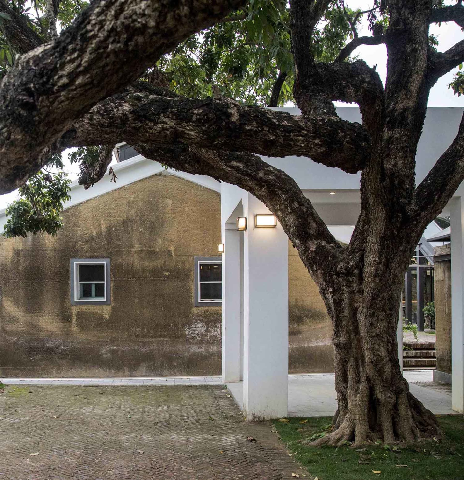 A minimalist building with a concrete exterior and a large tree in the foreground.