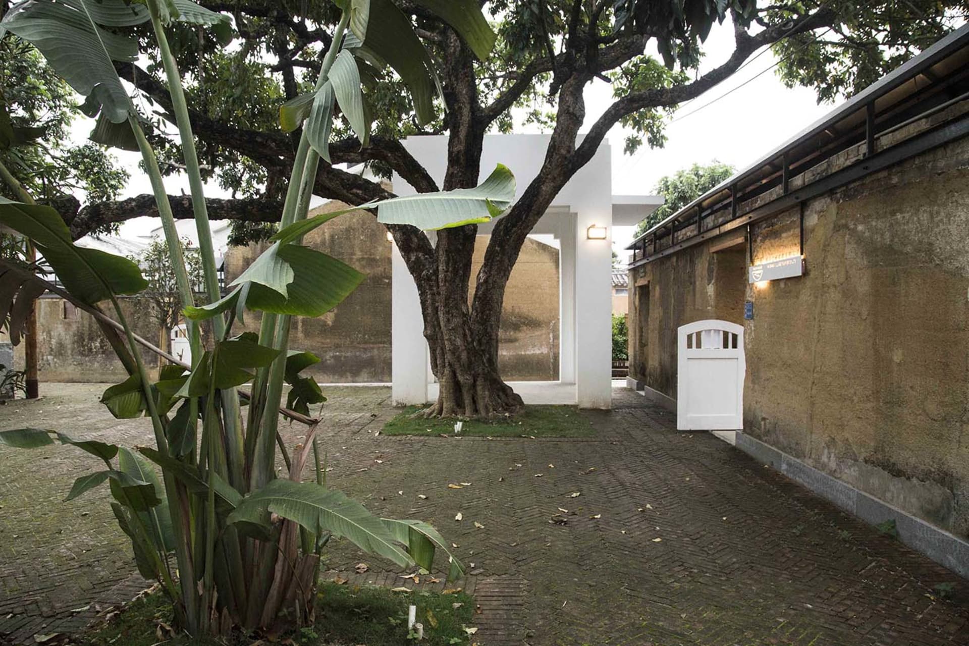 一座都市花園，設有混凝土步道、植物與一棵樹，周圍環繞著建築物。