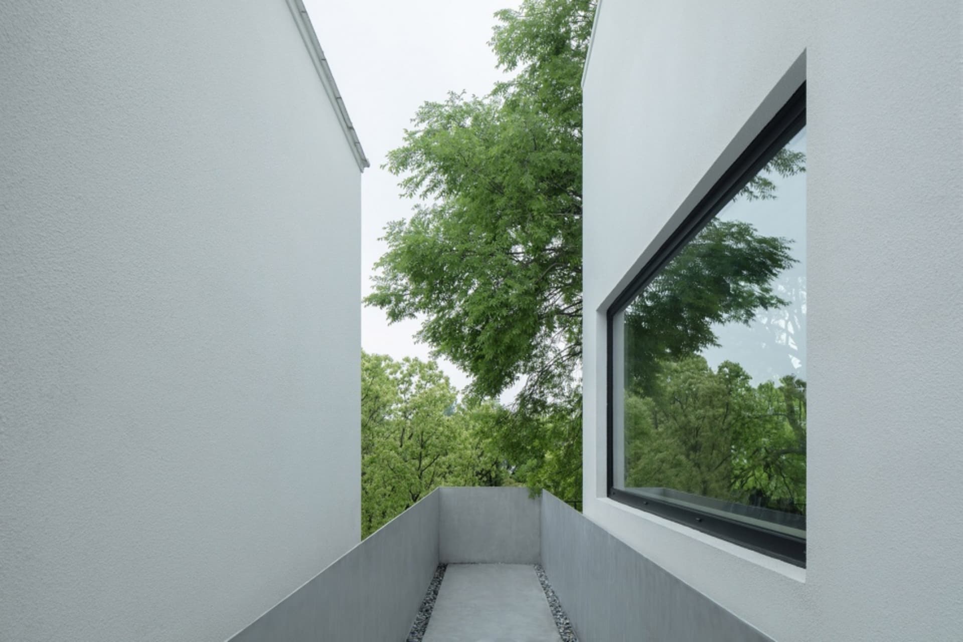 Modern exterior wall made of concrete with trees in the background.
