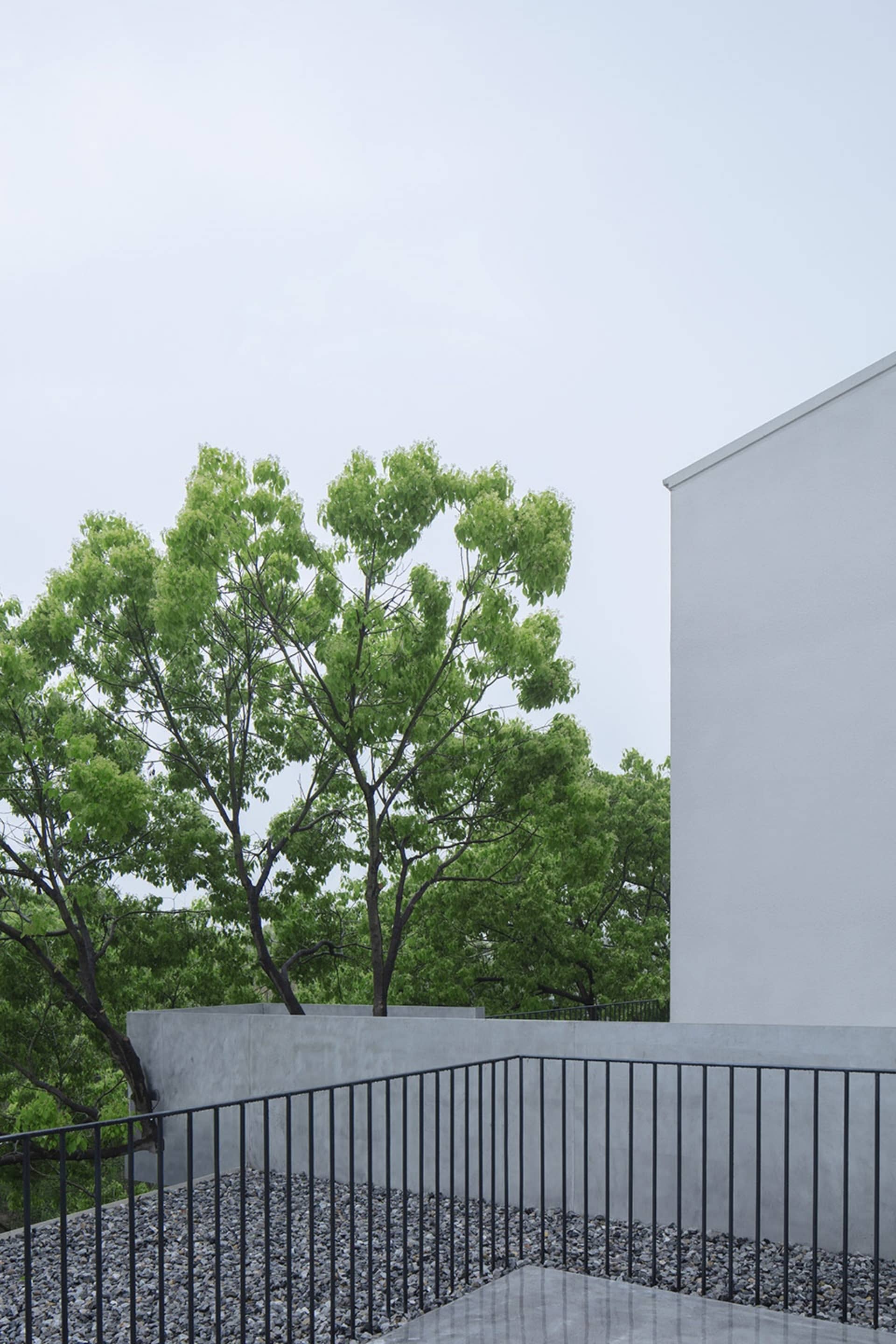 Modern, minimalist exterior with concrete walls and black railings, surrounded by greenery.
