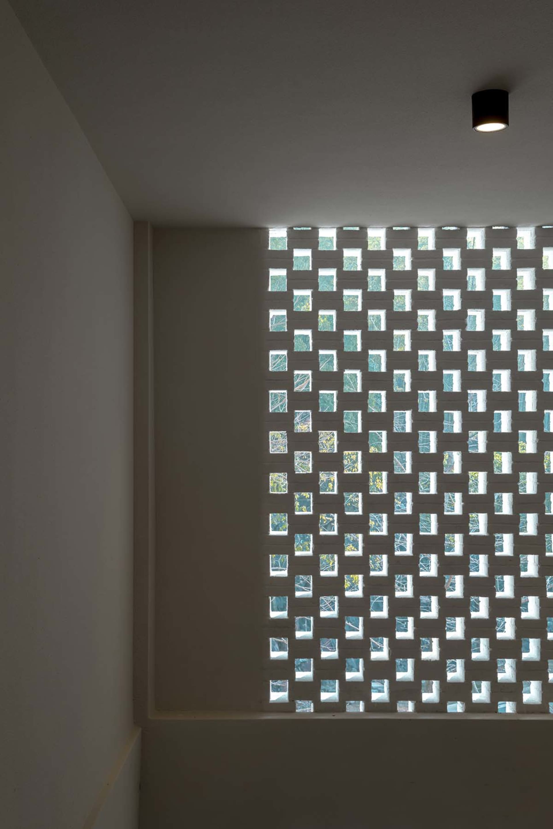 Light filtering through a modern window with a geometric glazing pattern.