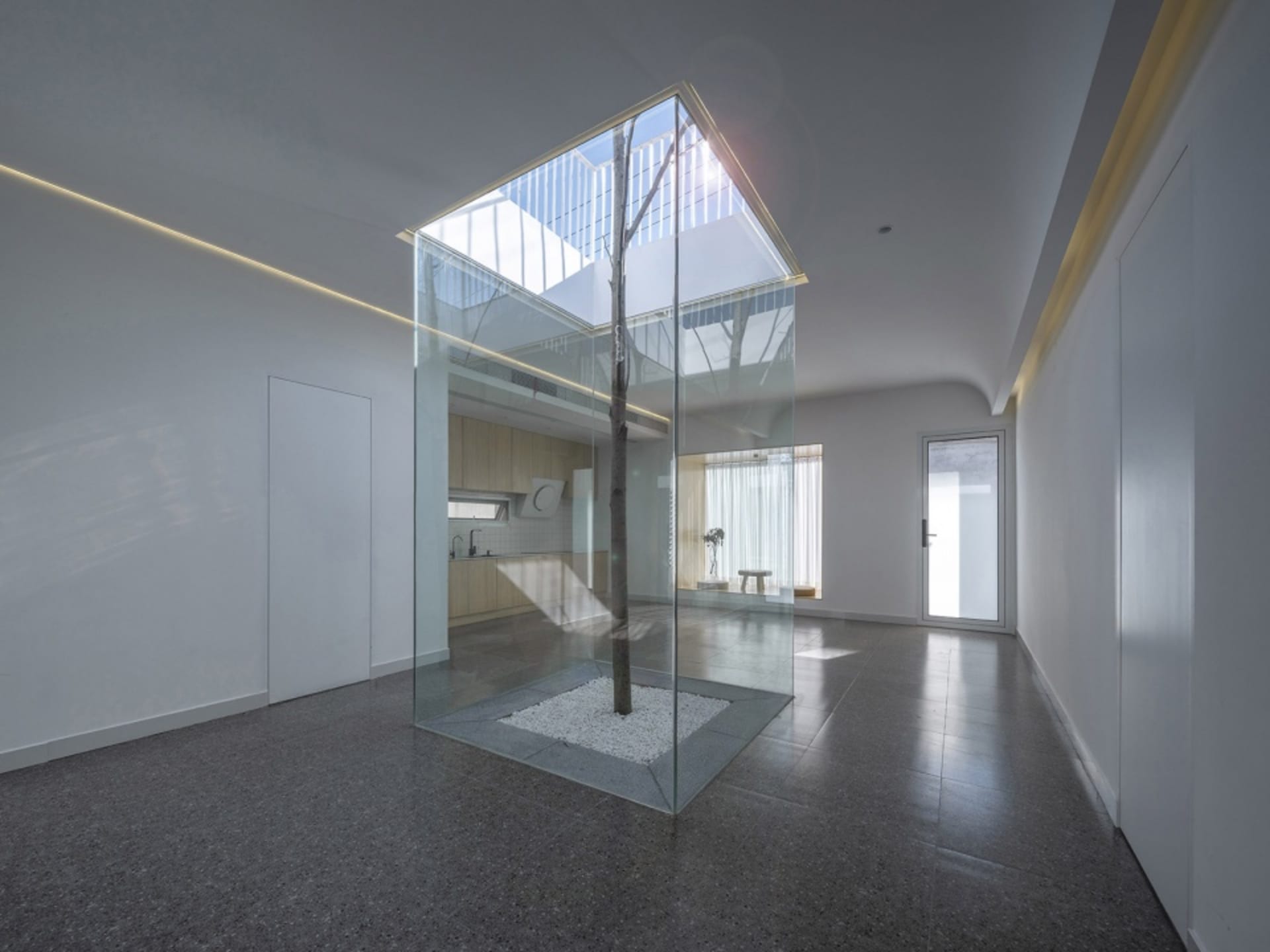 A modern living room with a glass box containing a tree and white rock, surrounded by white walls and floor.
