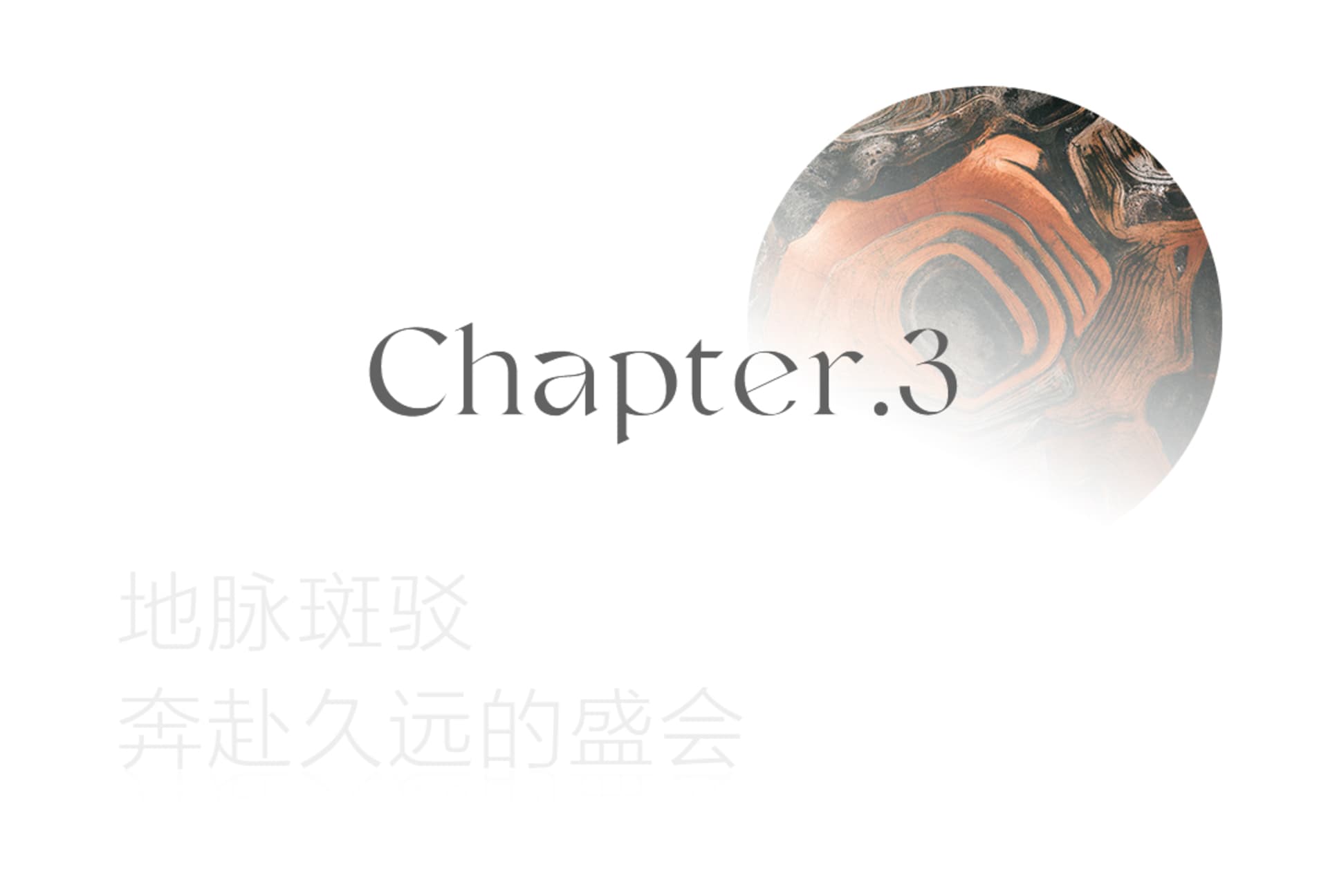 極簡風格的書封，採用白灰配色。