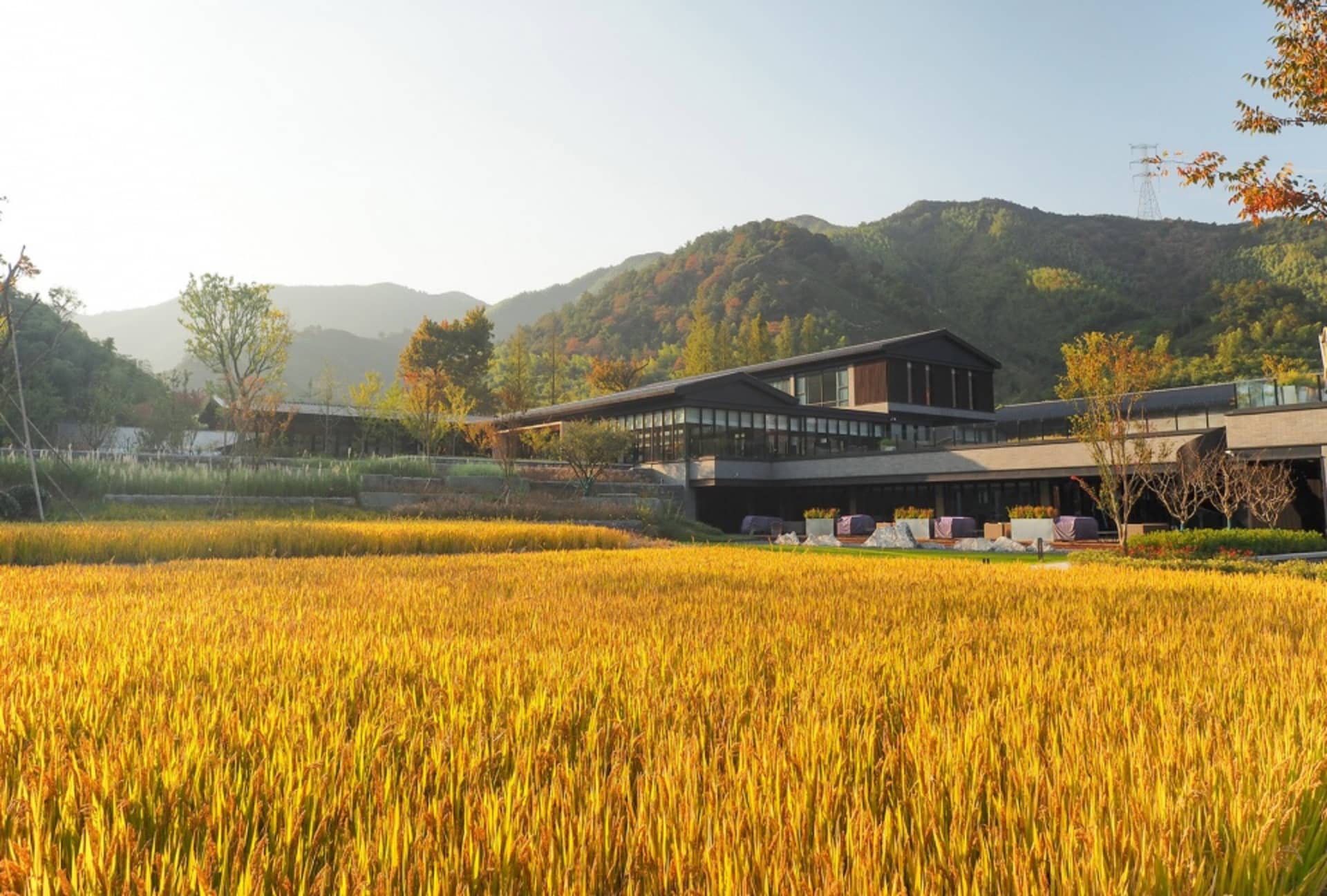 A modern building surrounded by lush greenery in a rural setting.