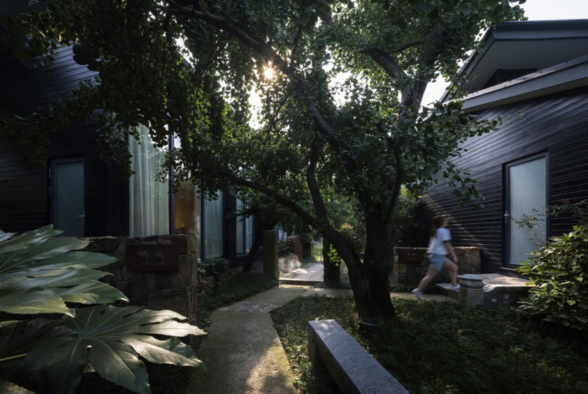混凝土步道兩側環繞綠意,兩旁為住宅建築。