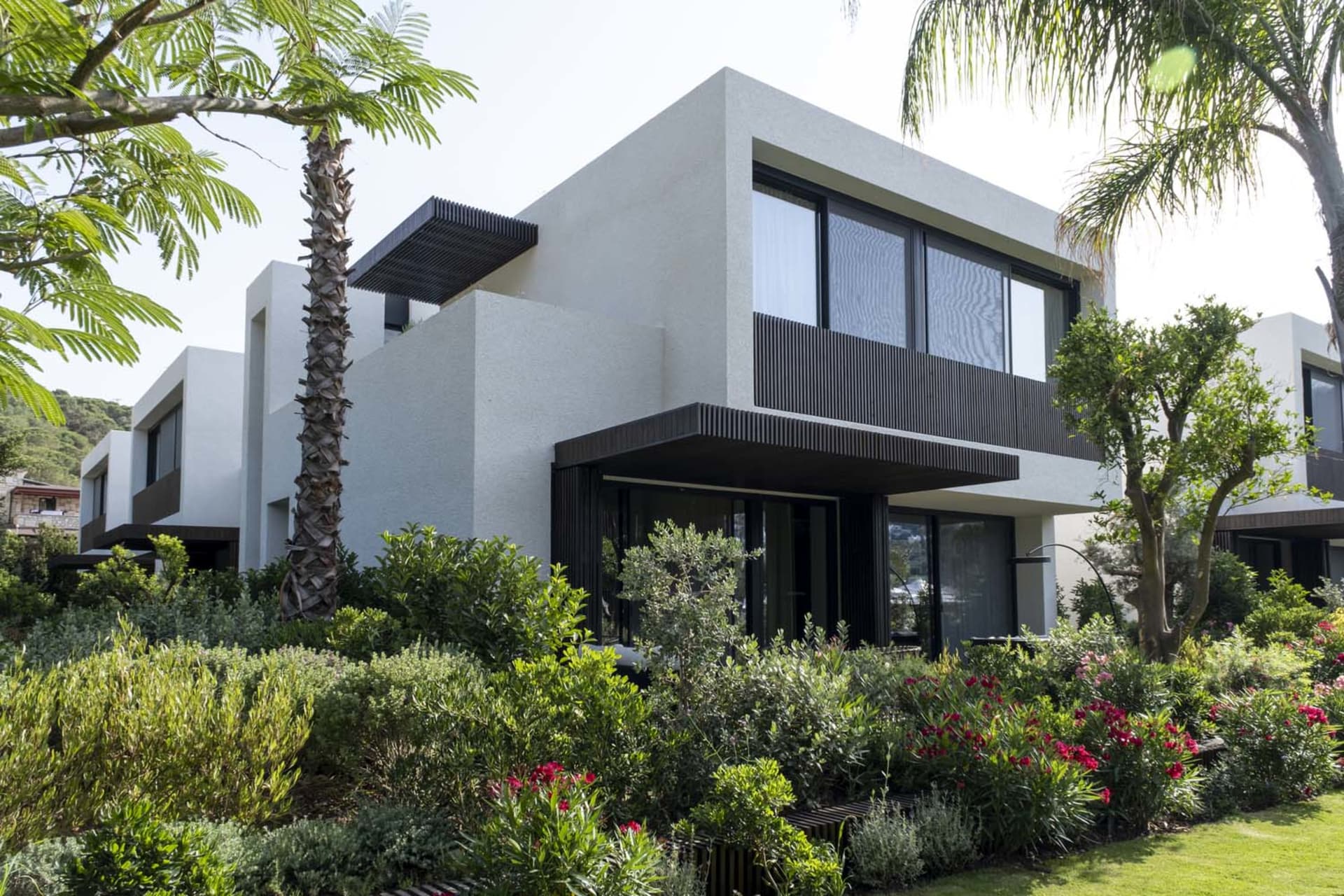 Modern architecture featuring a house with concrete exterior and large windows surrounded by greenery and palm trees.