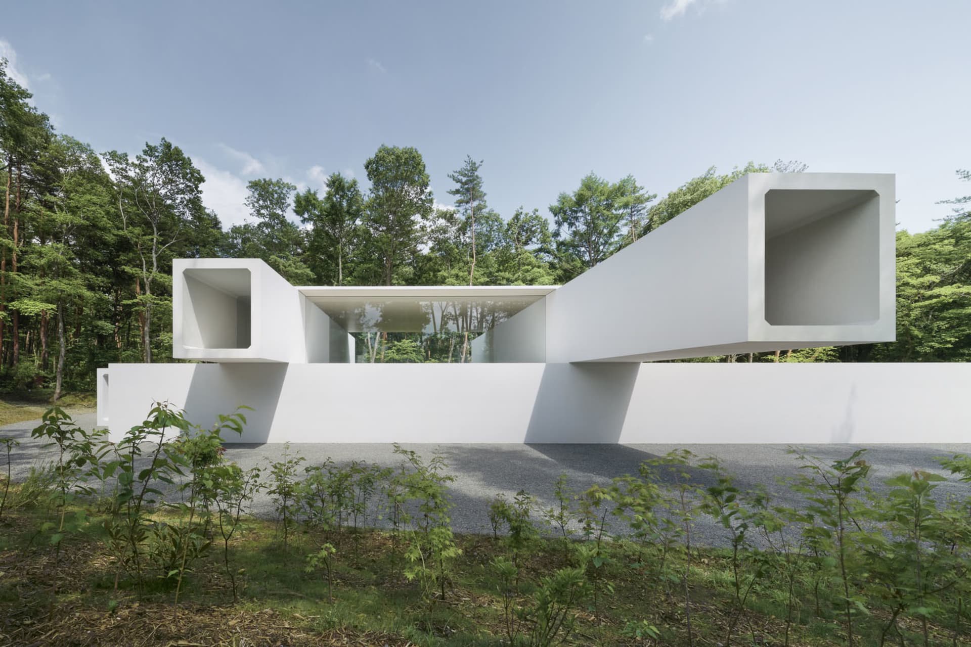Modern building with white concrete exterior in a forest setting