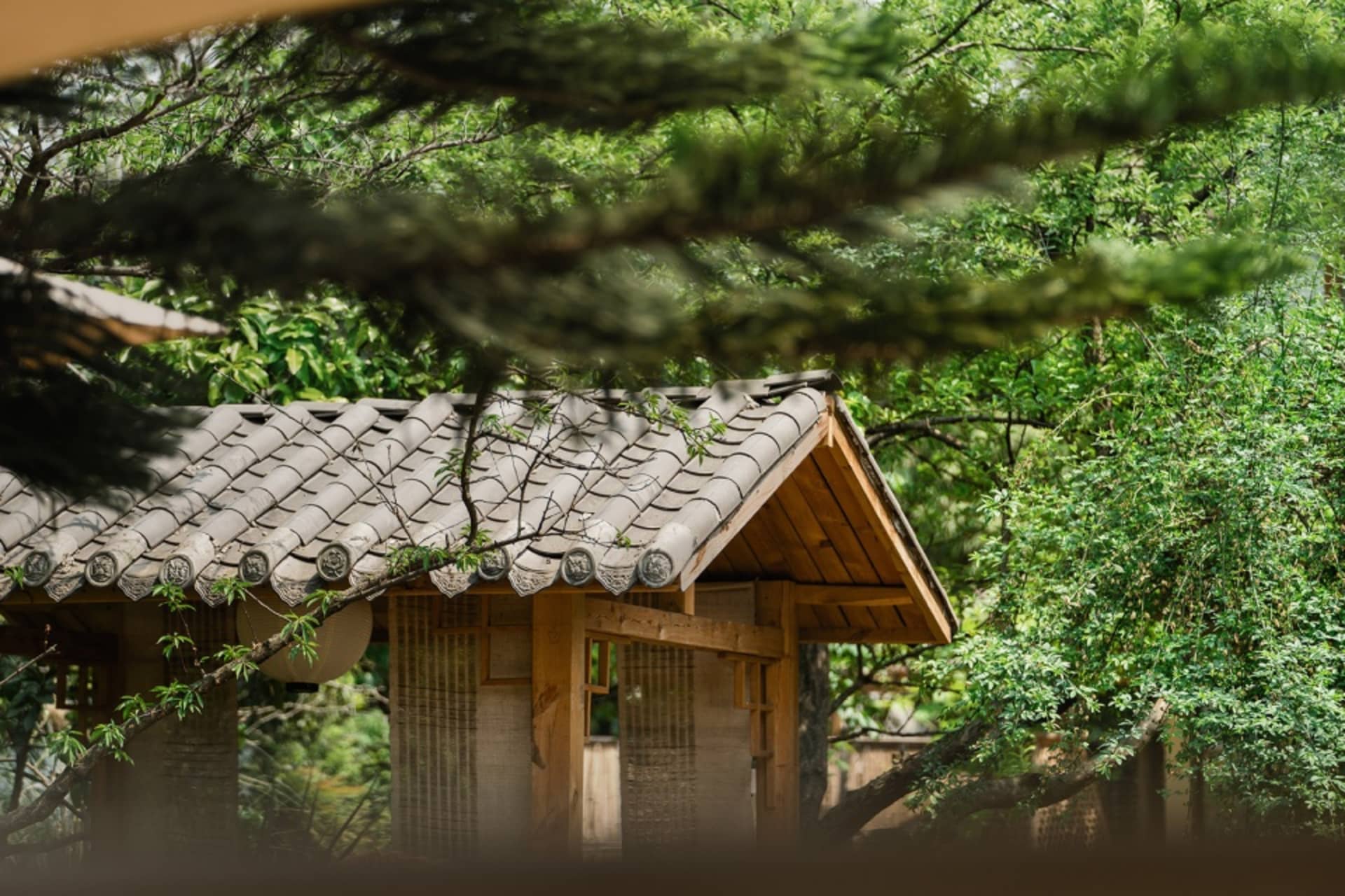 傳統木造房屋搭配瓦片屋頂,周圍環繞茂密綠意。