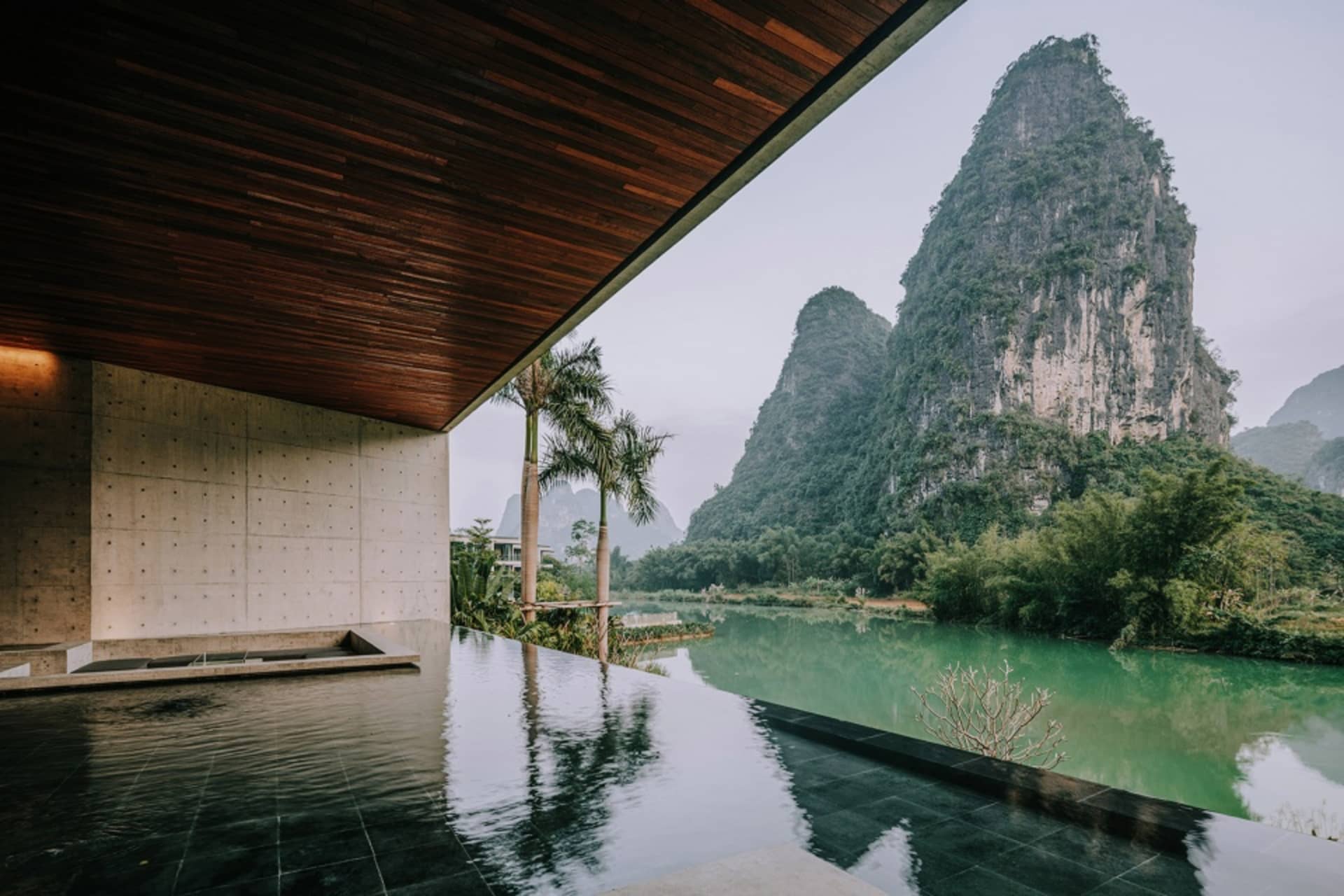 Modern residential interior featuring concrete walls and greenery