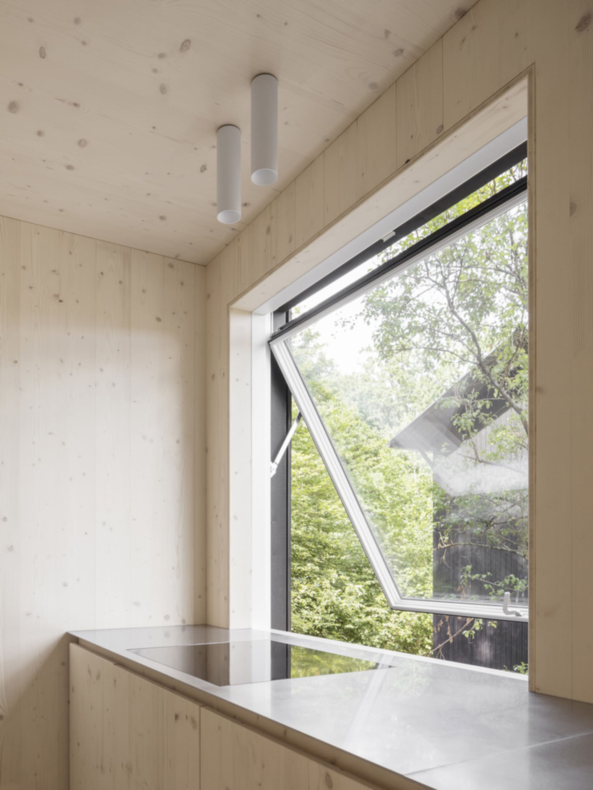 Modern minimalist kitchen with wooden walls and a large window overlooking a wooded area.