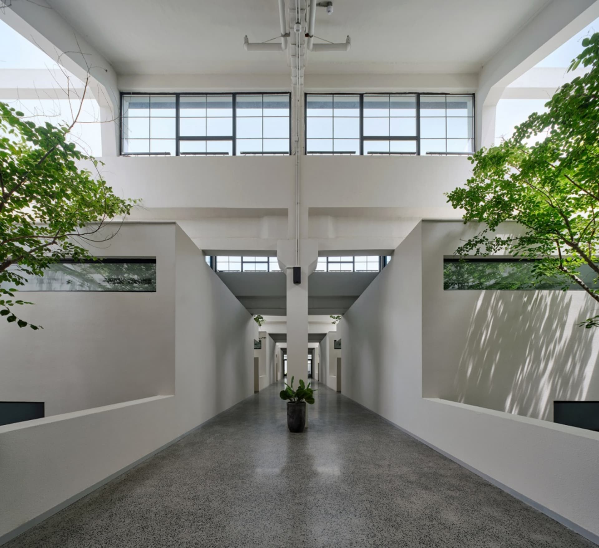 Concrete and glass modern office corridor with green plants and natural light.