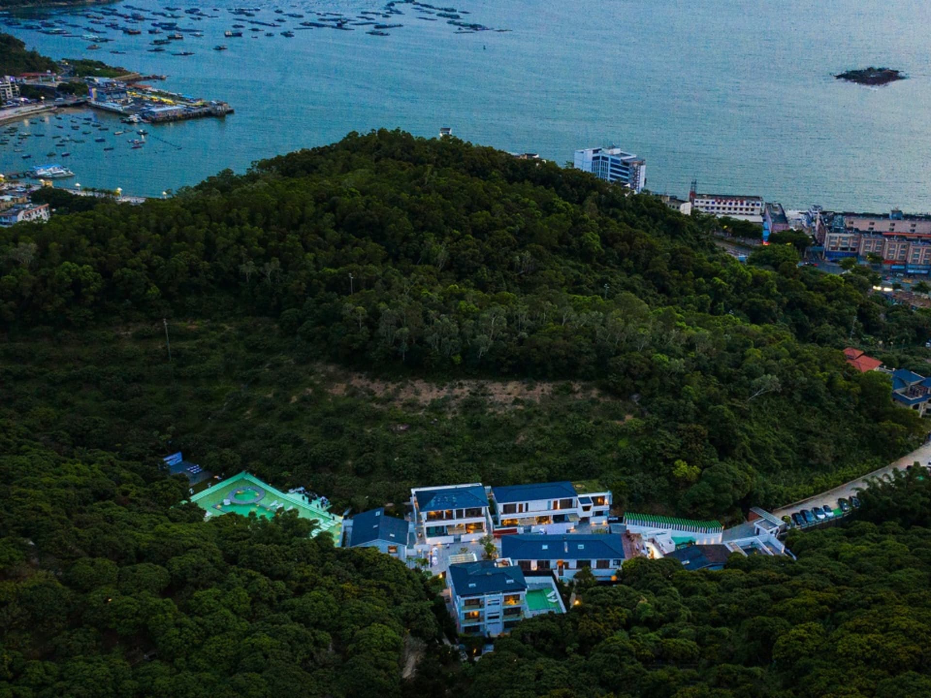 住宅建築群坐落於茂密的綠意山坡上。