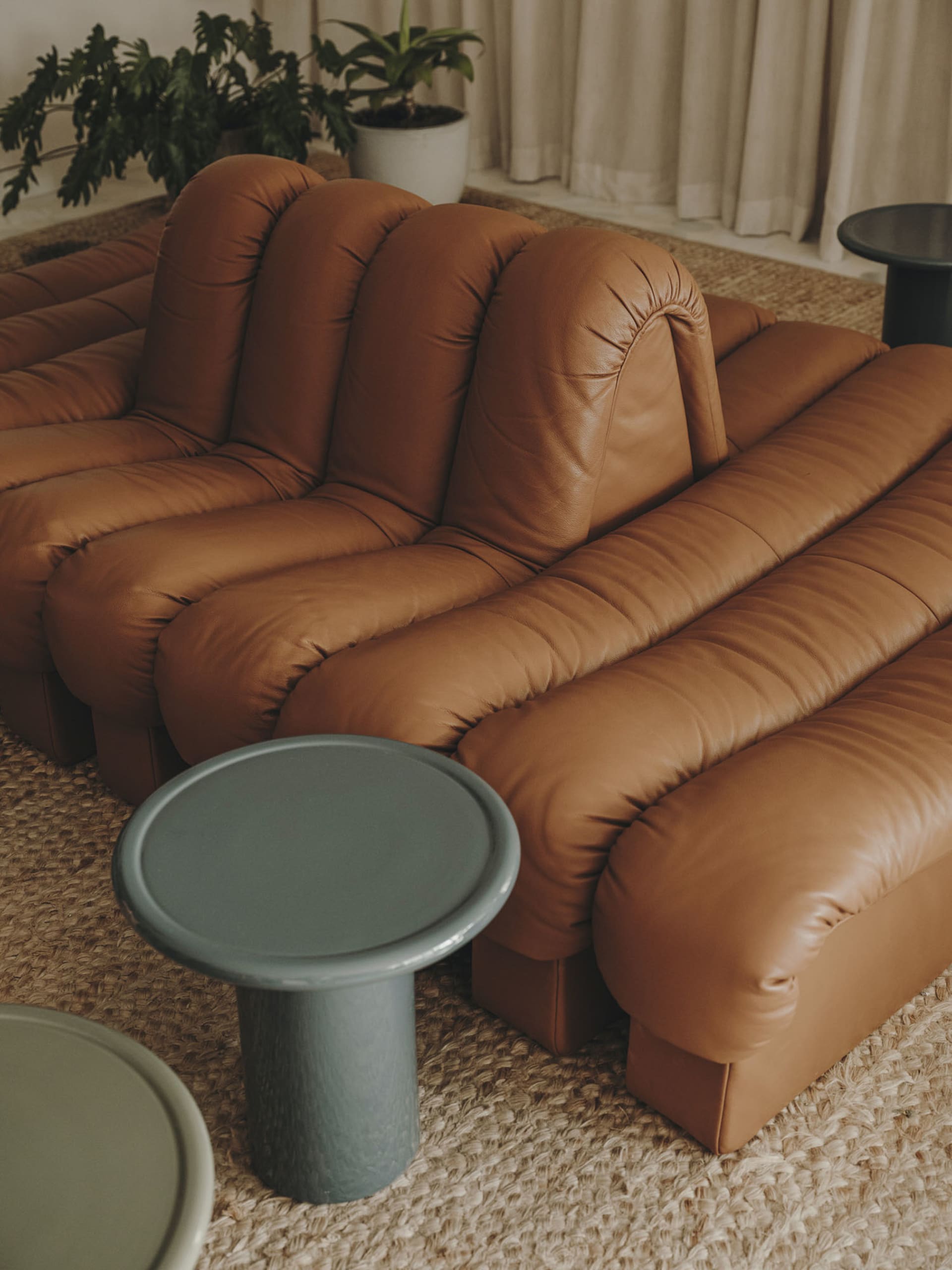 Modern leather sofas in a cozy living room with green plants and a textured rug.