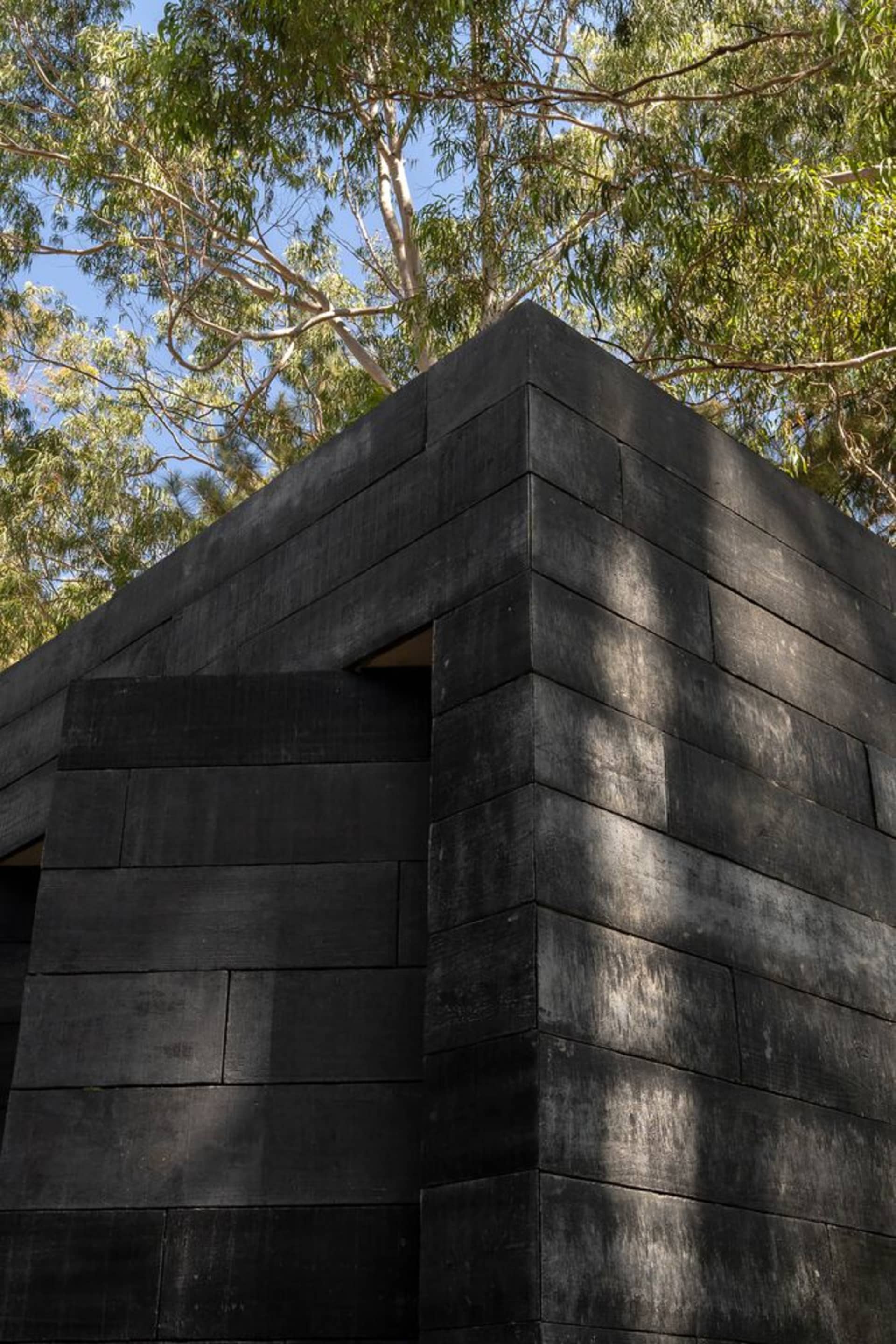 Modern building exterior with black wooden panels and a gabled roof, surrounded by greenery.