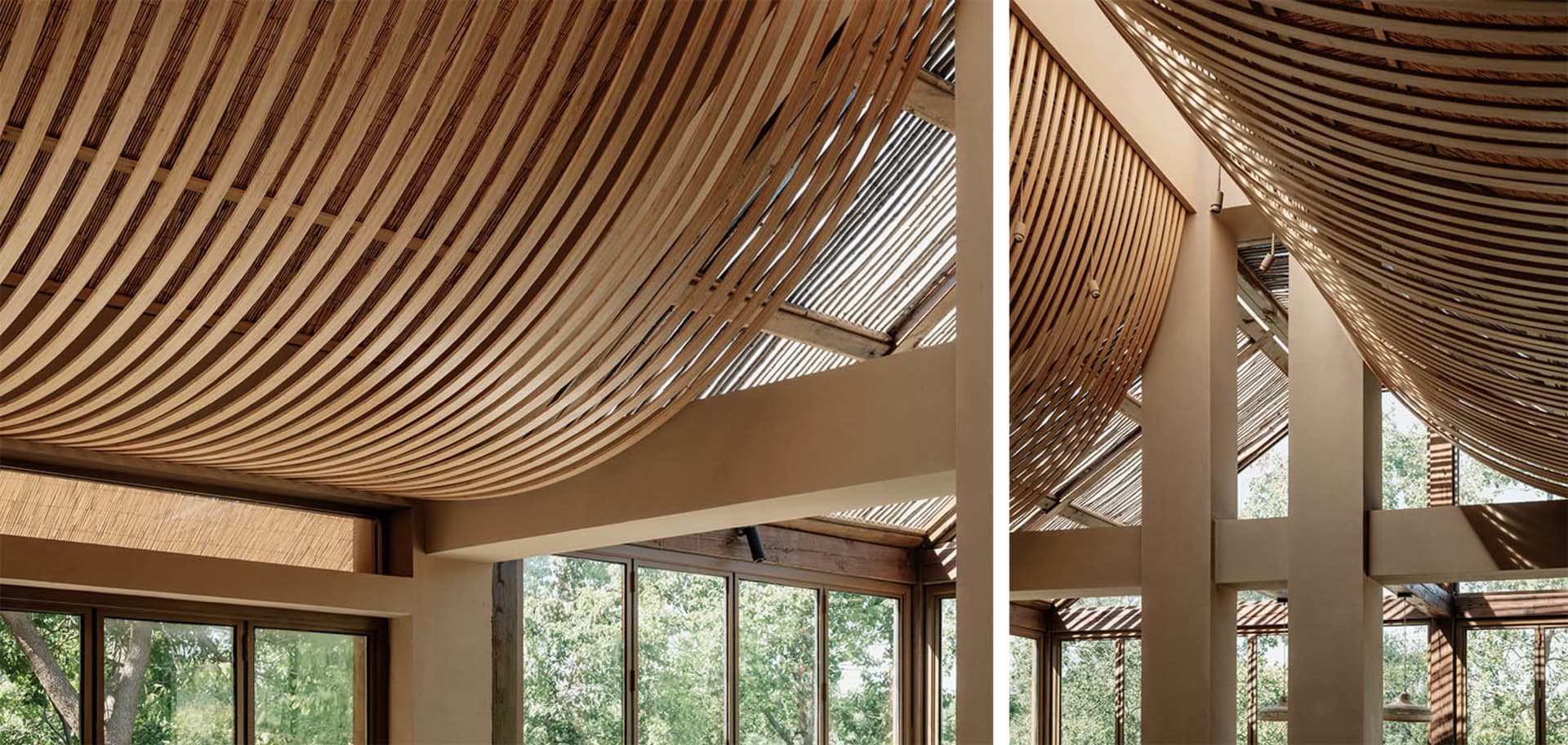 An image showcasing a modern interior design with a unique, curved wooden ceiling.