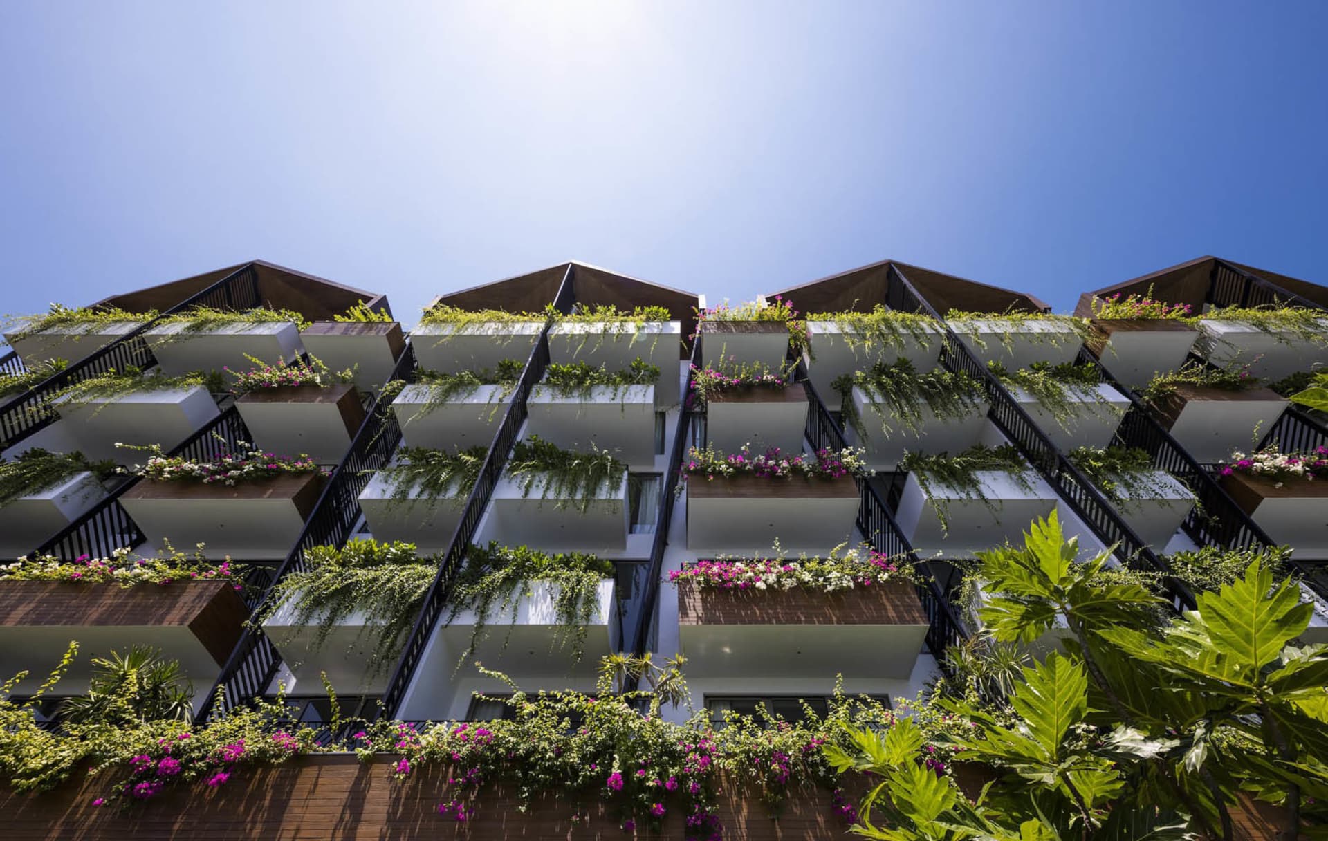 Modern residential apartment building with white rendered façade and green planters on balconies.