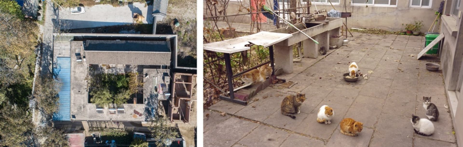 俯瞰現代住宅露台,混凝土與金屬表面,環繞綠意,並設有屋頂