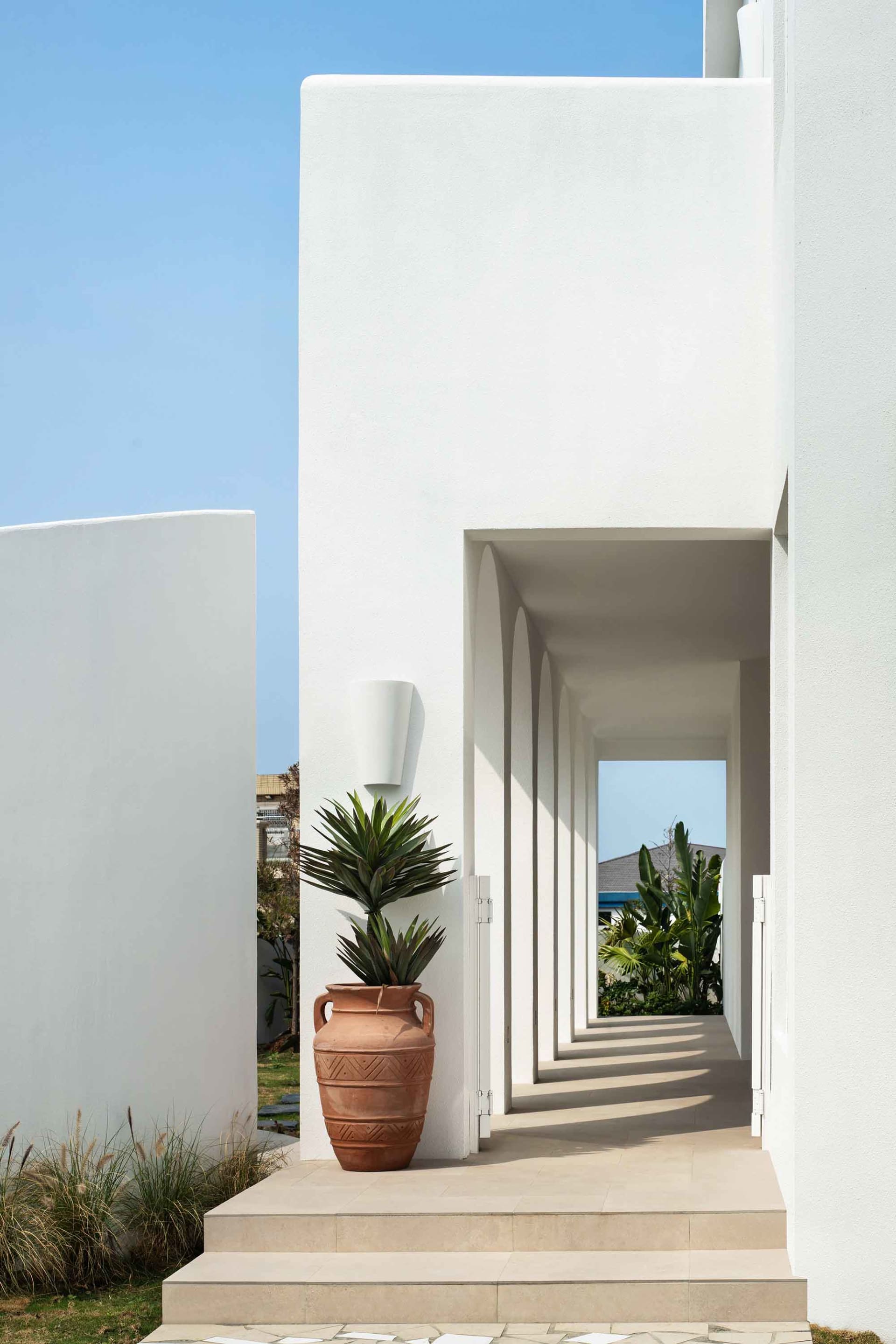 A modern residential entryway featuring a concrete wall and a terracotta planter with a palm plant.