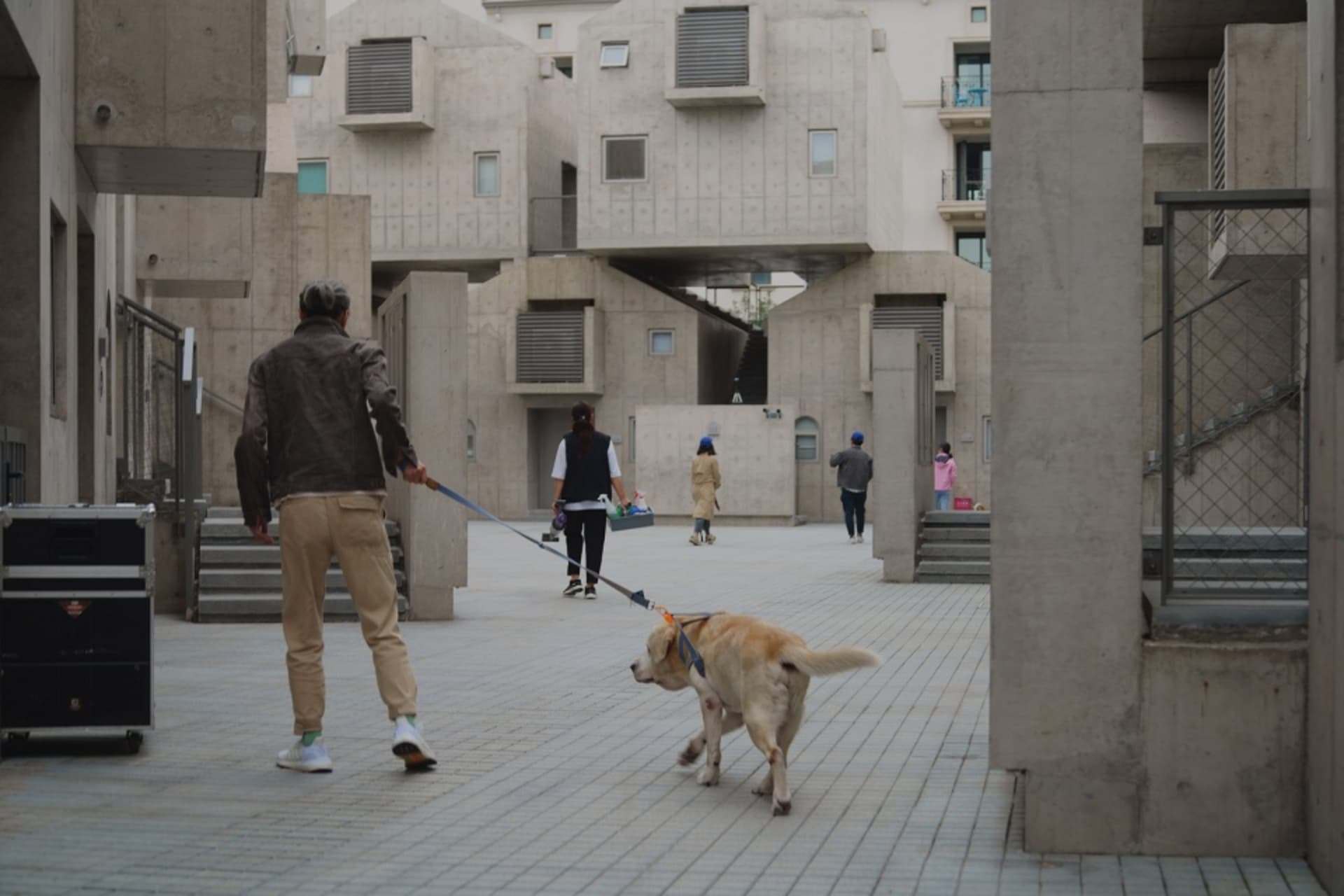 現代公共空間以混凝土建築為特色,人們散步並牽著狗。