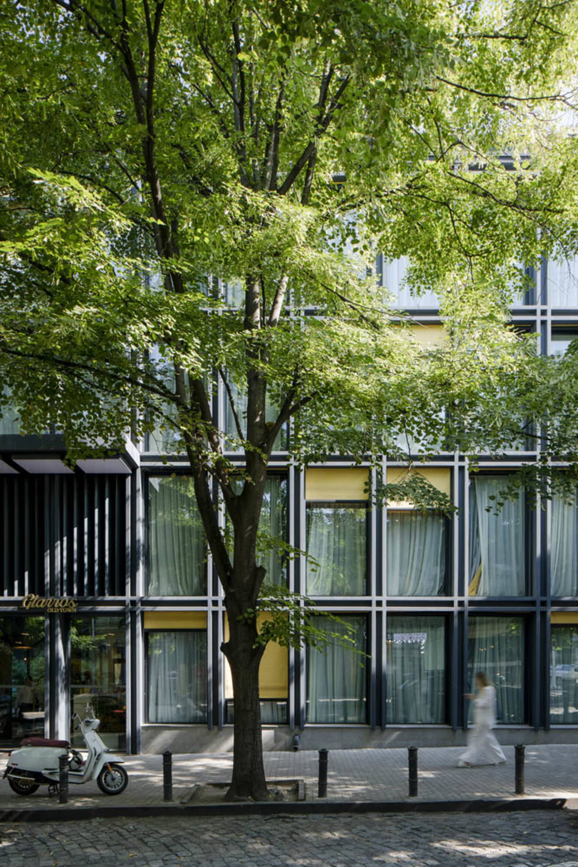 Modern commercial space with large glass windows and green trees in the foreground.