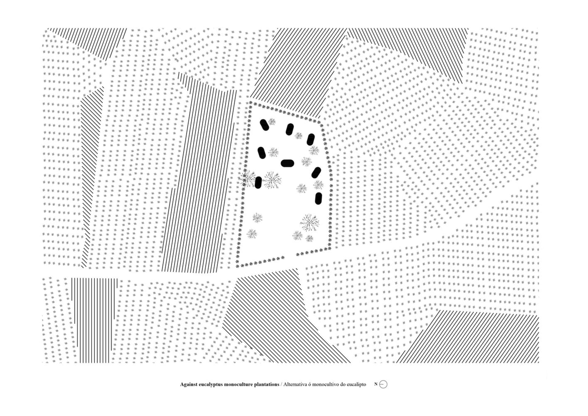 一張 2D 技術圖,呈現景觀設計與單一樹種種植園的對照。