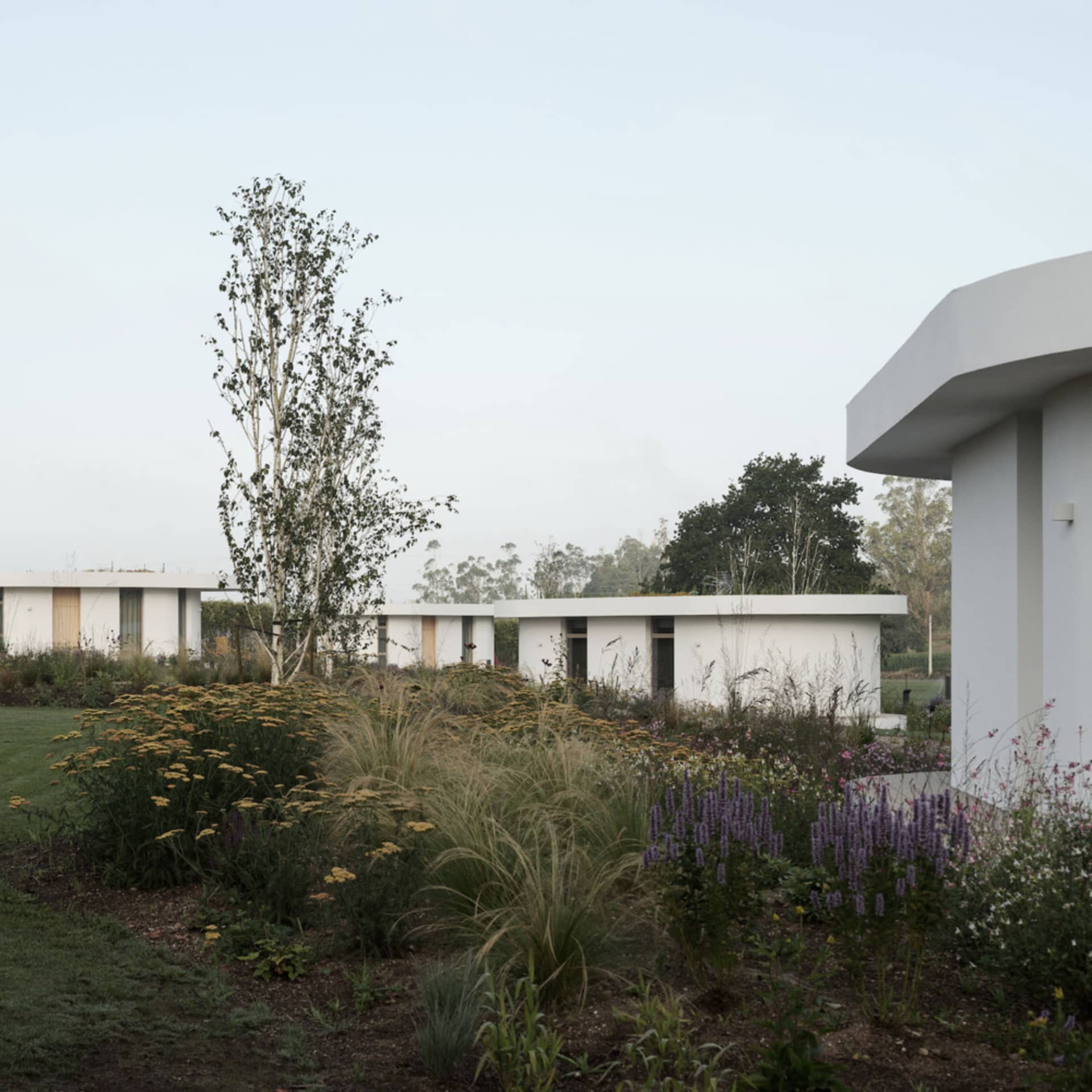Modern minimalist residential exterior with concrete structures and greenery.