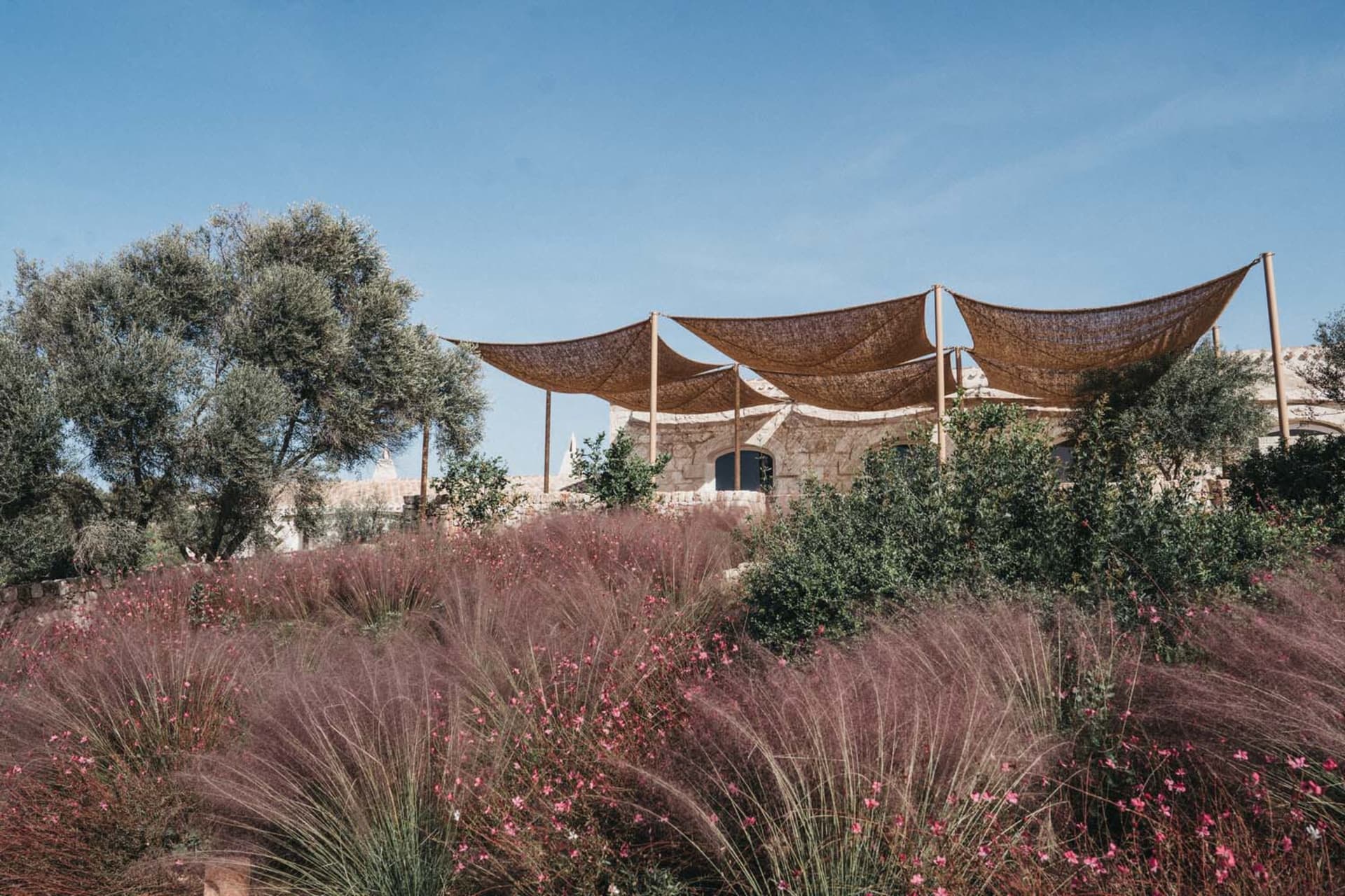An architectural desert resort built with organic shades and local adobe stone.