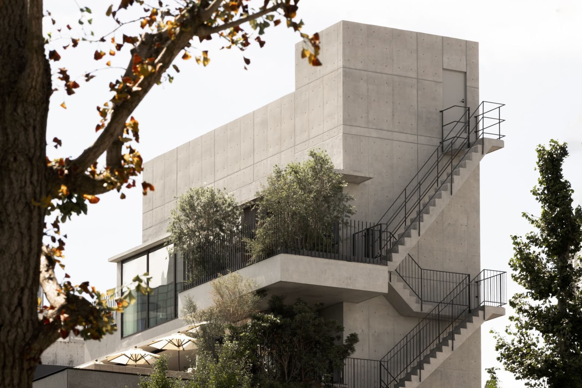 Modern building exterior made of concrete with trees and stairs.