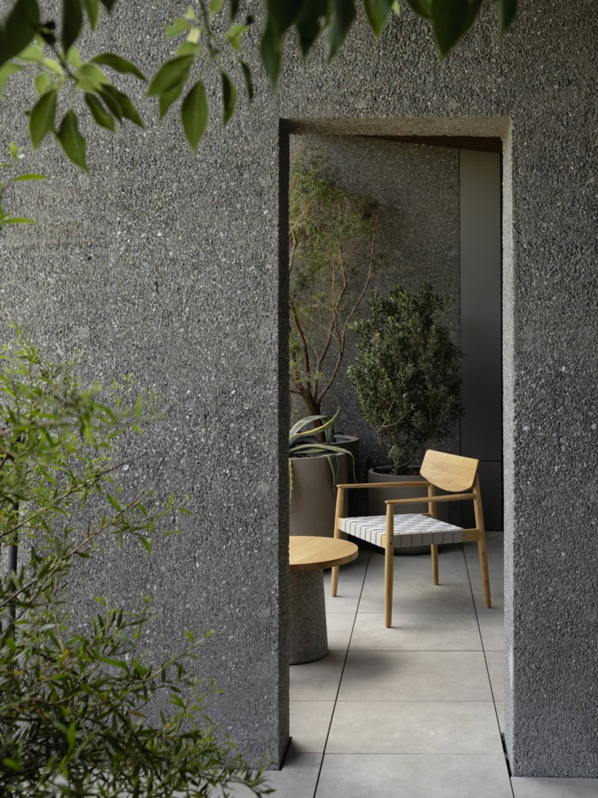 Concrete walls and plants in a minimalist garden patio