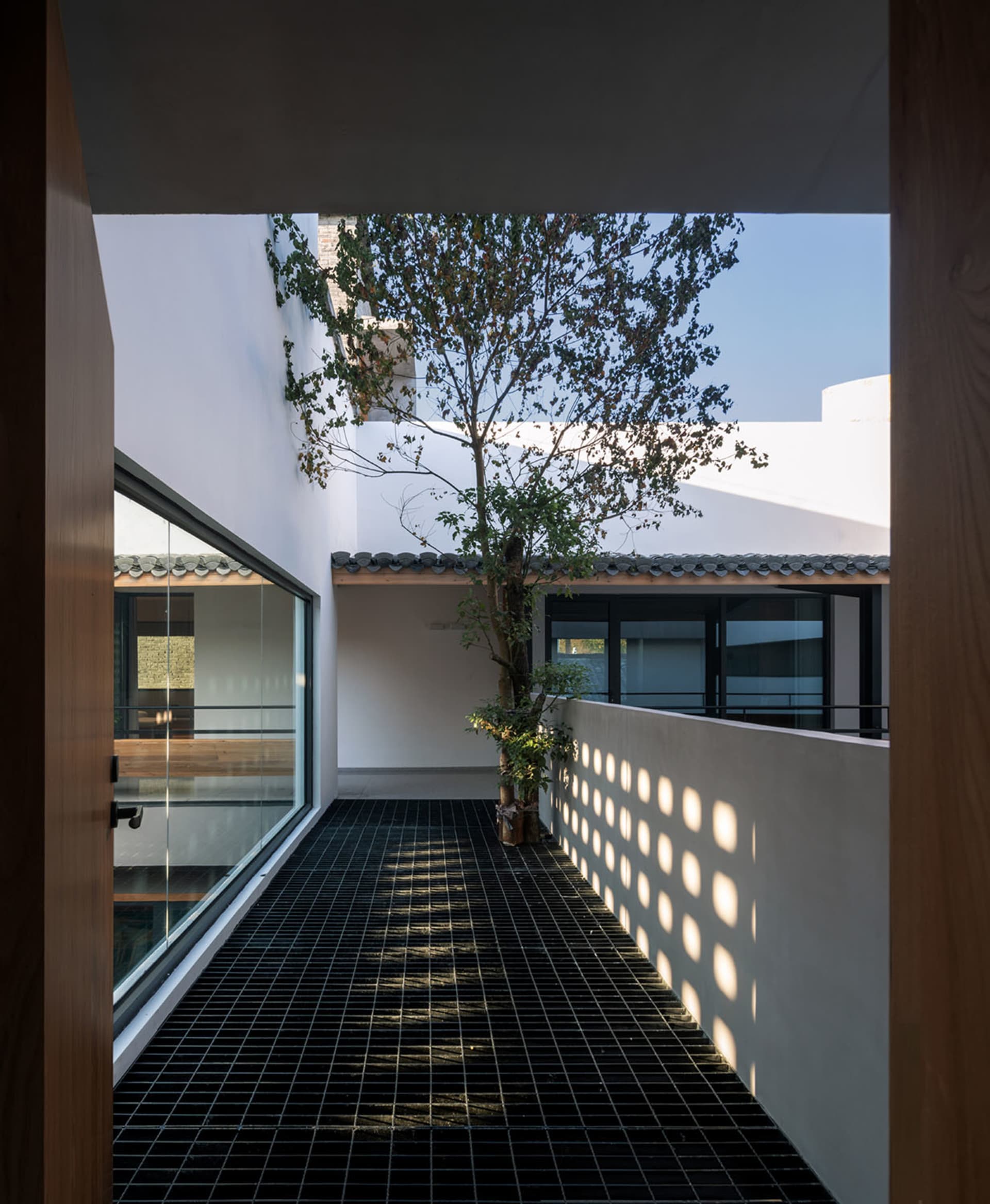 A modern residential interior with a concrete floor and a single tree in the center.