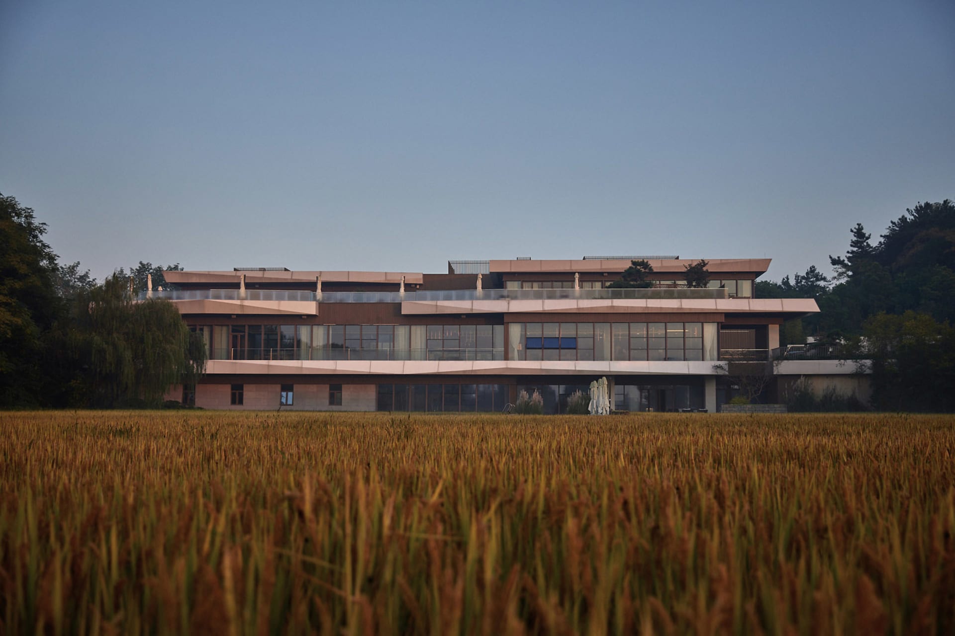 Modern residential building surrounded by agricultural field