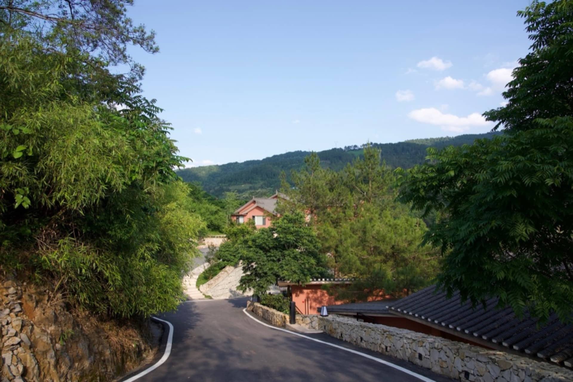 一條鄉村道路兩旁林木與建築林立，周圍綠意盎然並環繞山巒。