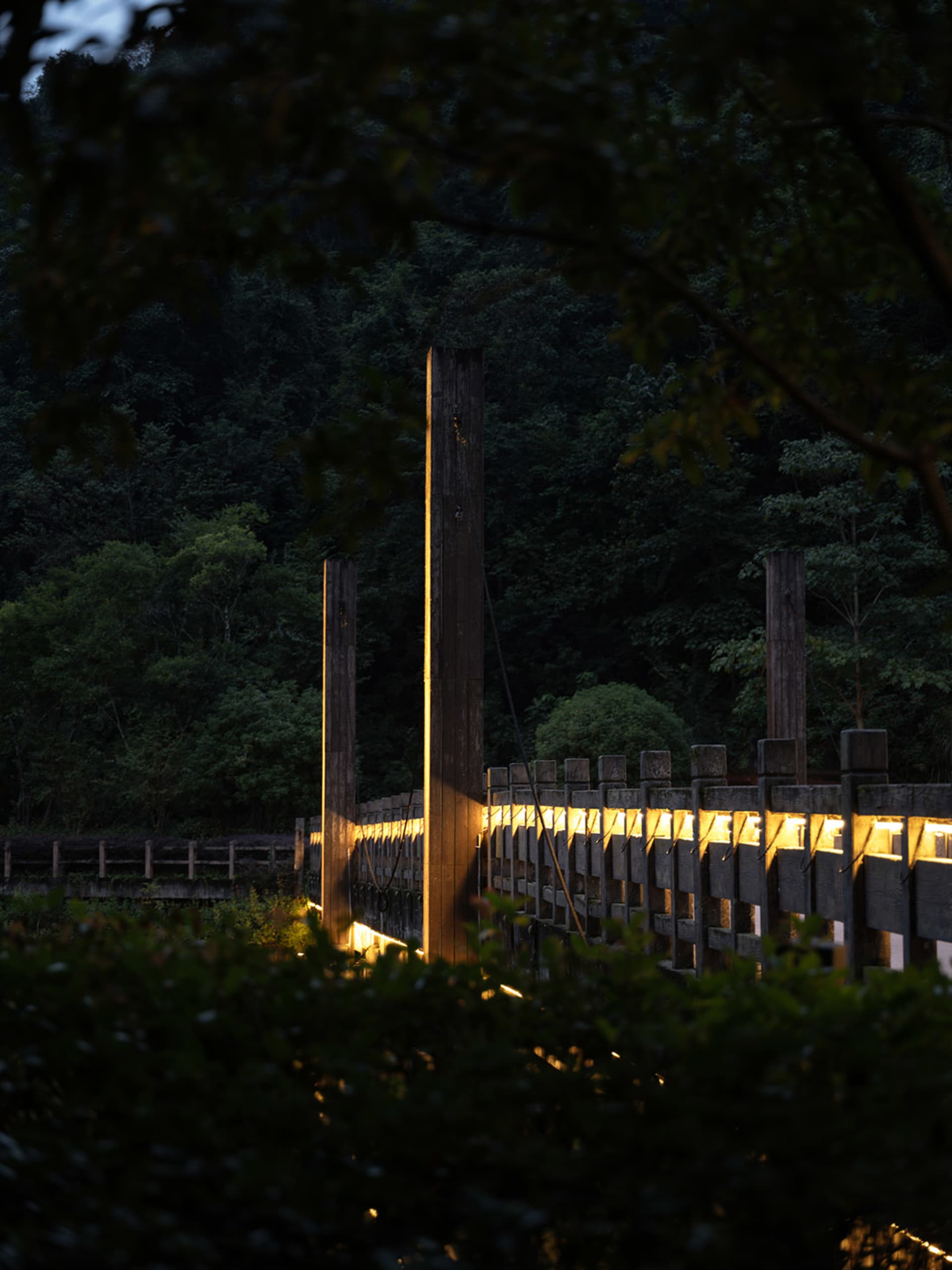 夜間木橋被燈光照亮，背景有樹木。