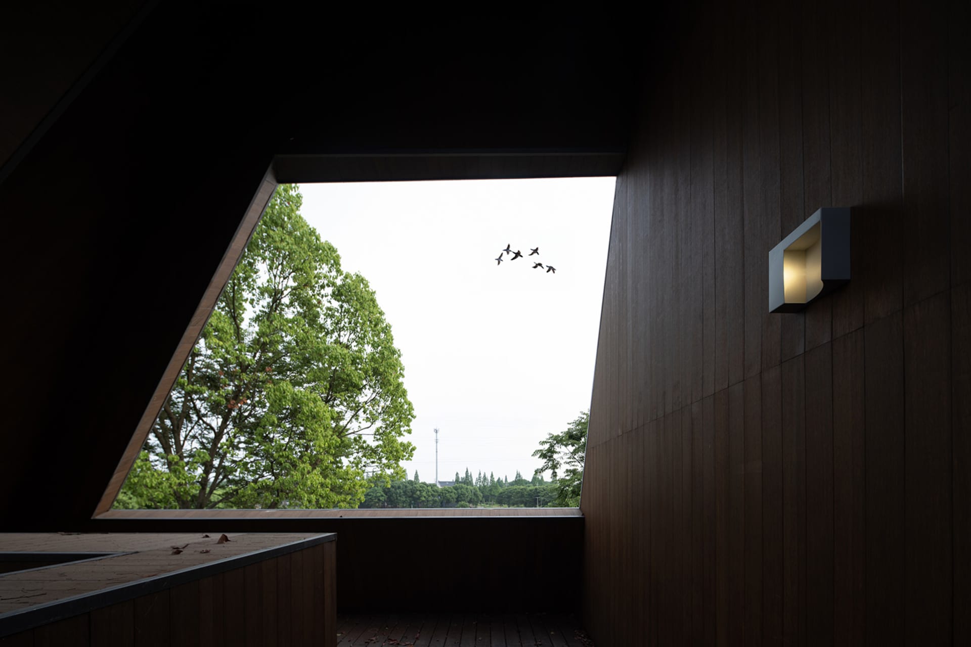 現代室內展示木質牆面與三角形建築窗戶