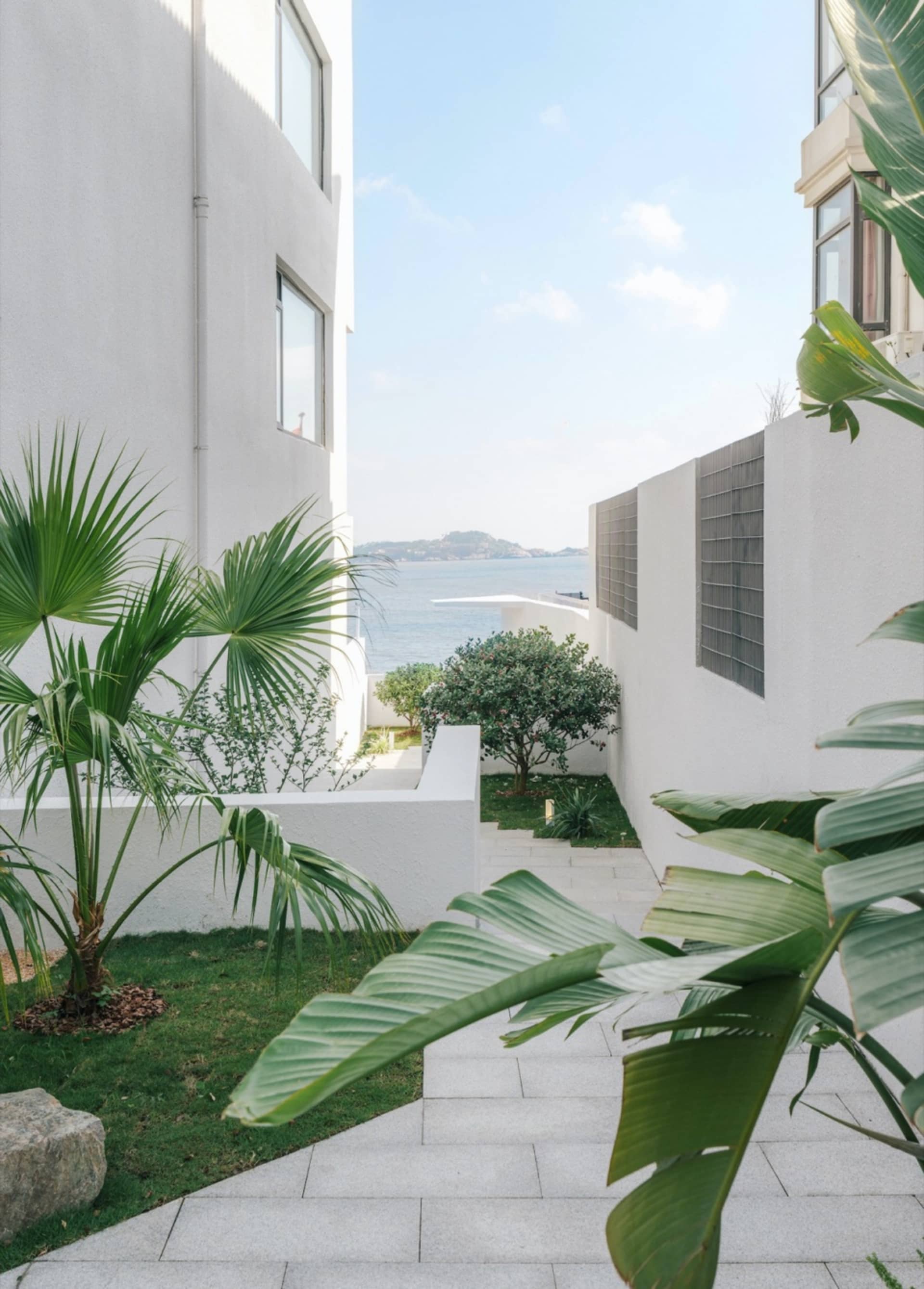 Concrete patio with tropical plants overlooking the ocean on a sunny day.