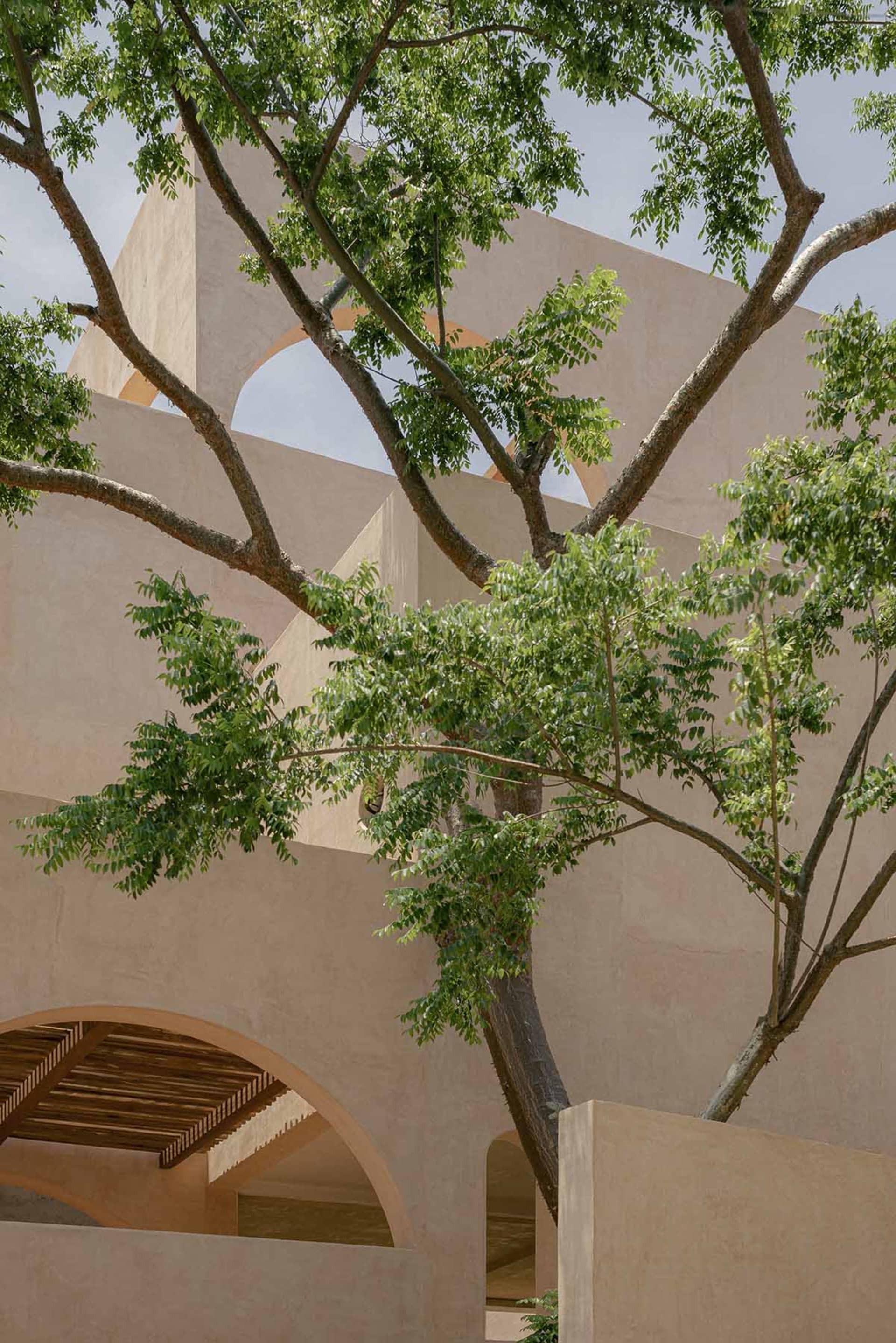 Modern architectural design with concrete walls and tree branches.