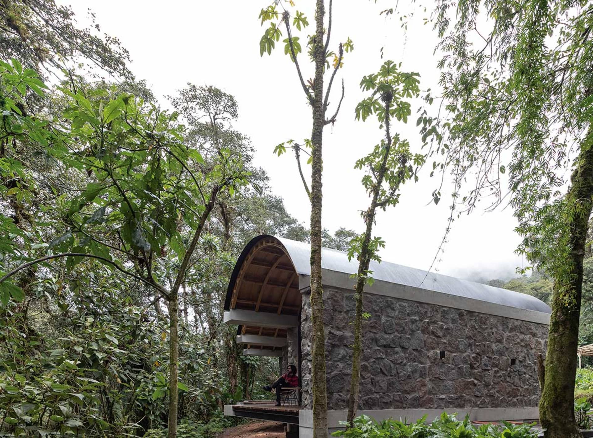 現代住宅室內,石材牆面搭配混凝土天花板,周圍被茂密綠意環繞,置於森林環境中。