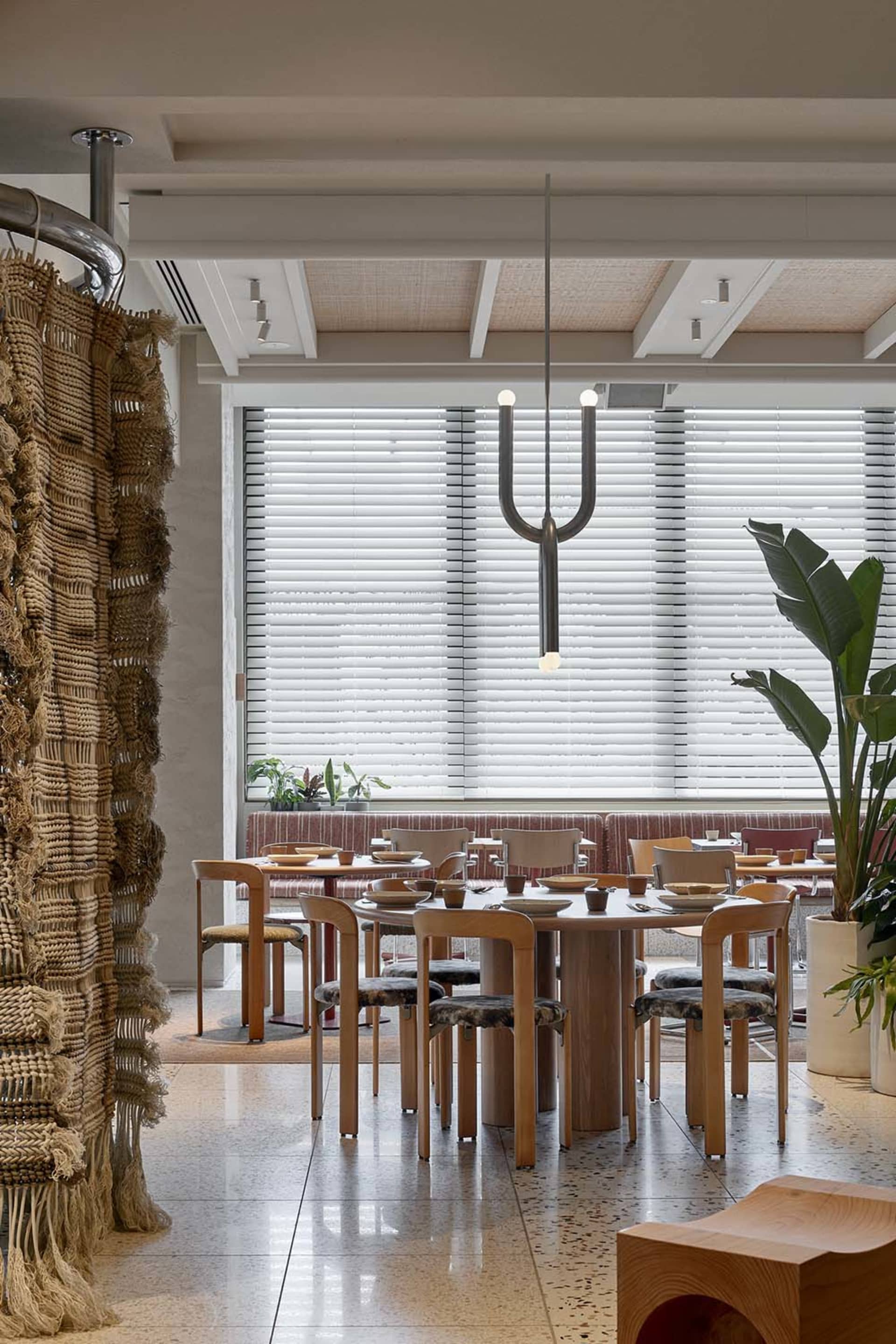 A modern restaurant dining room featuring wooden tables and chairs under a minimalist chandelier with a large, leafy plant in