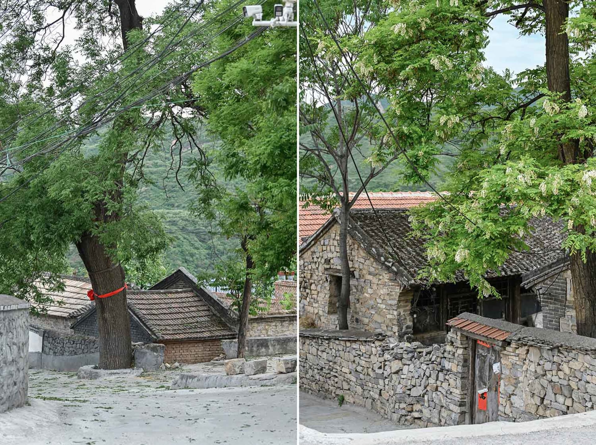 展示鄉村環境中傳統石屋的影像,周圍環繞茂密綠意,突顯其質樸魅力