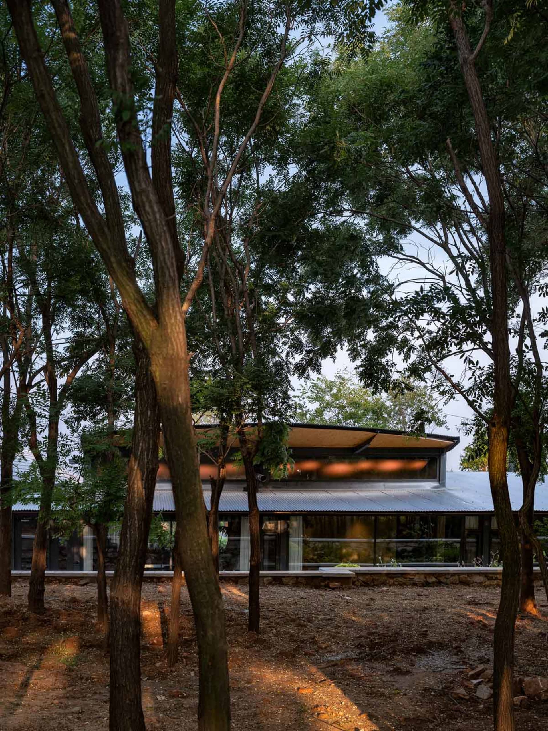 A modern residential extension with a metal roof and large glass windows surrounded by trees.