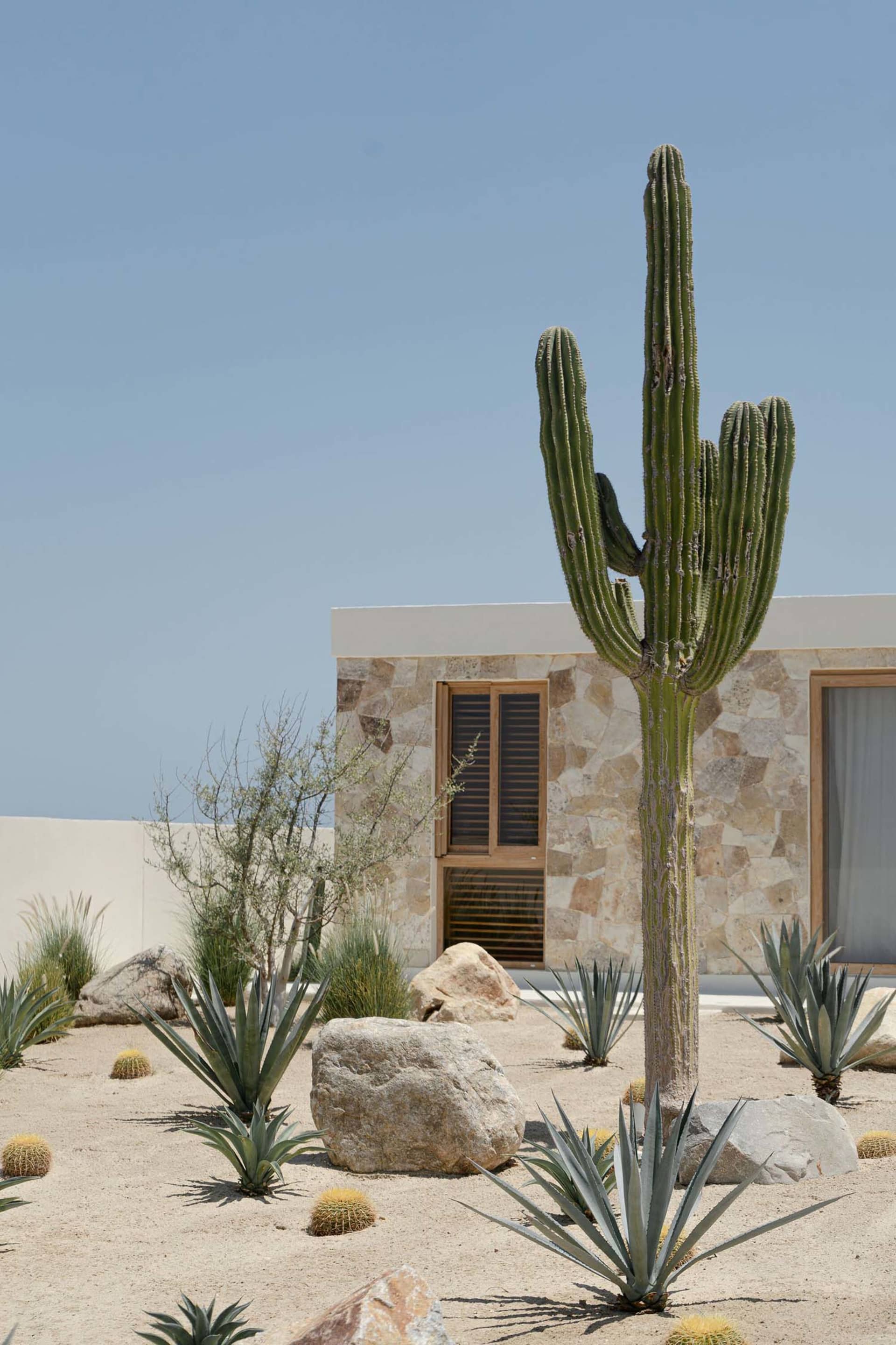 Modern architecture featuring concrete and stone in a desert setting.